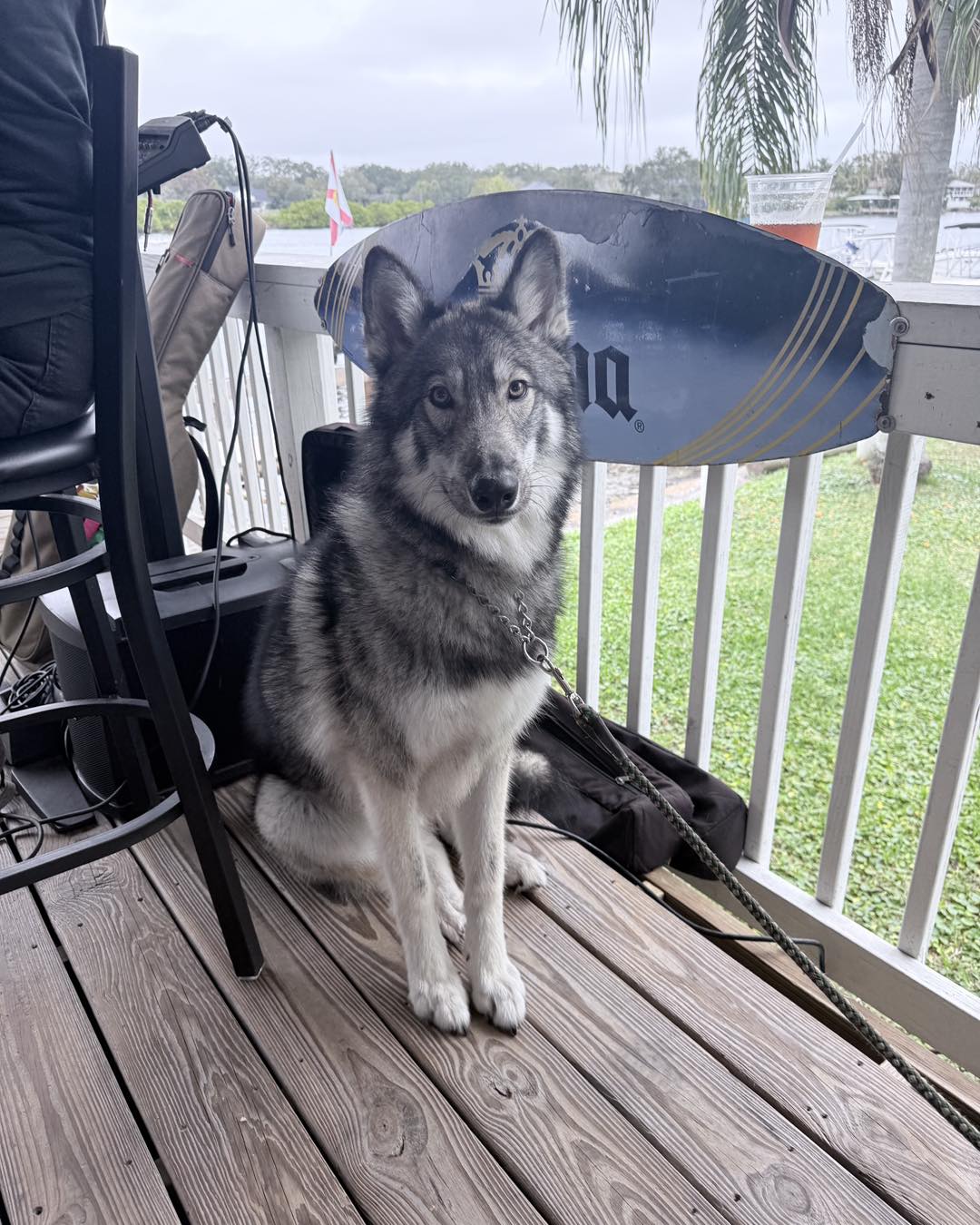 Jerry's Dockside Bar & Grill Gibsonton