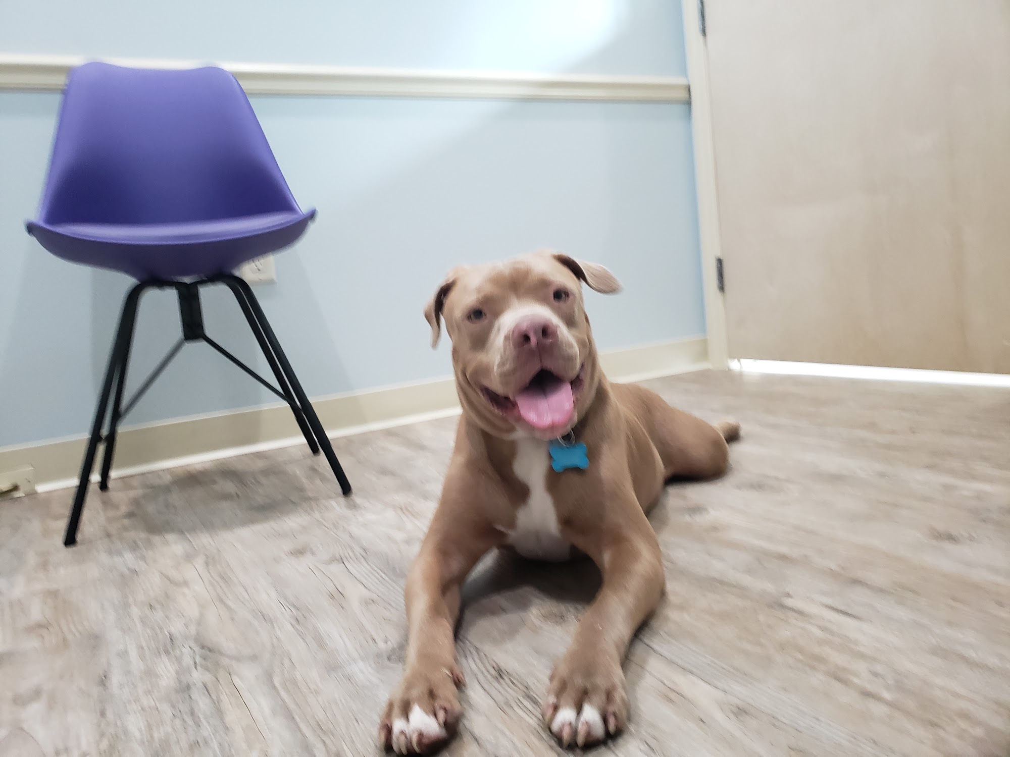 Family Animal Hospital Gibsonton