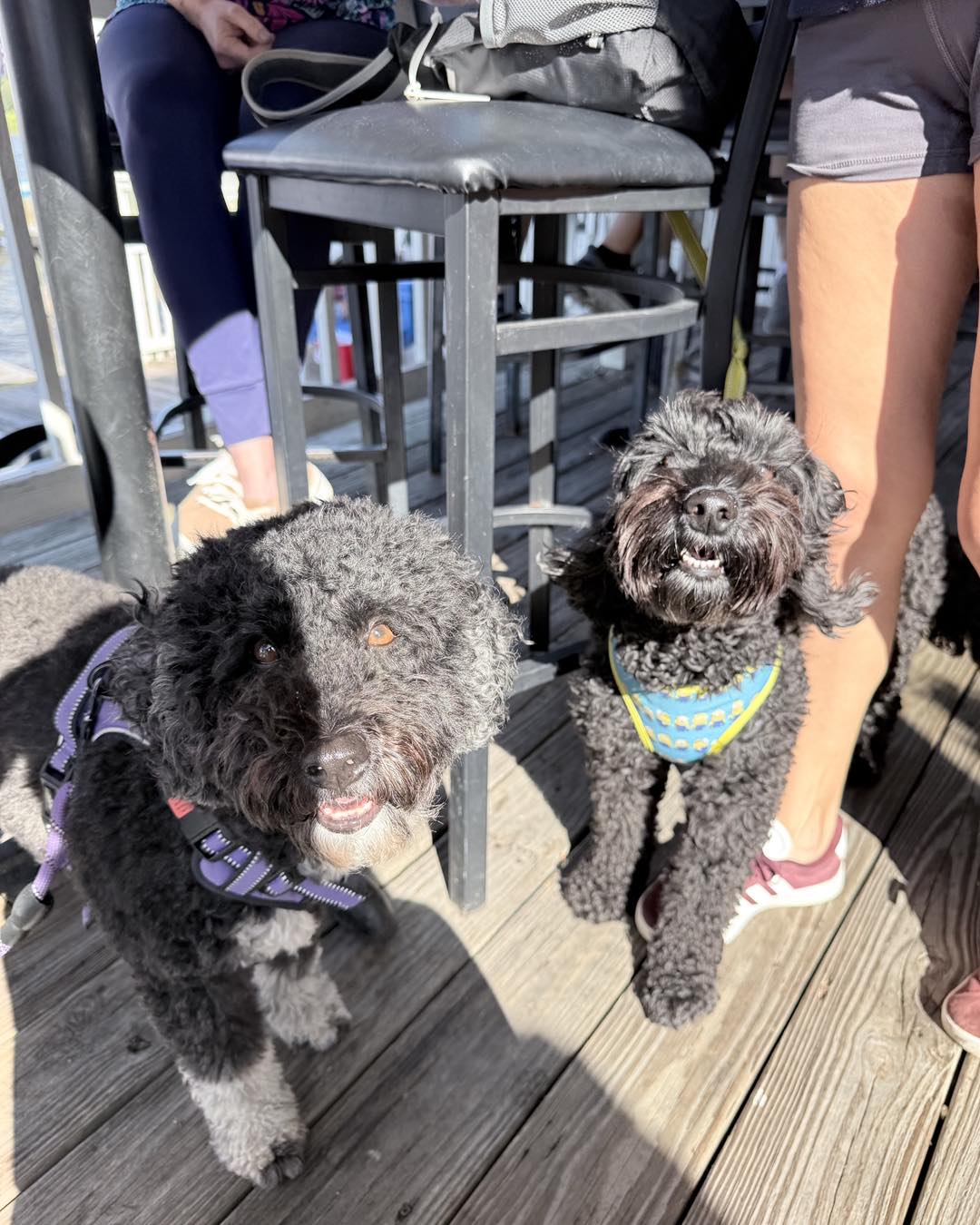 Freedom Boat Club - Alafia River: Jerry's Dockside Bar & Grill Gibsonton