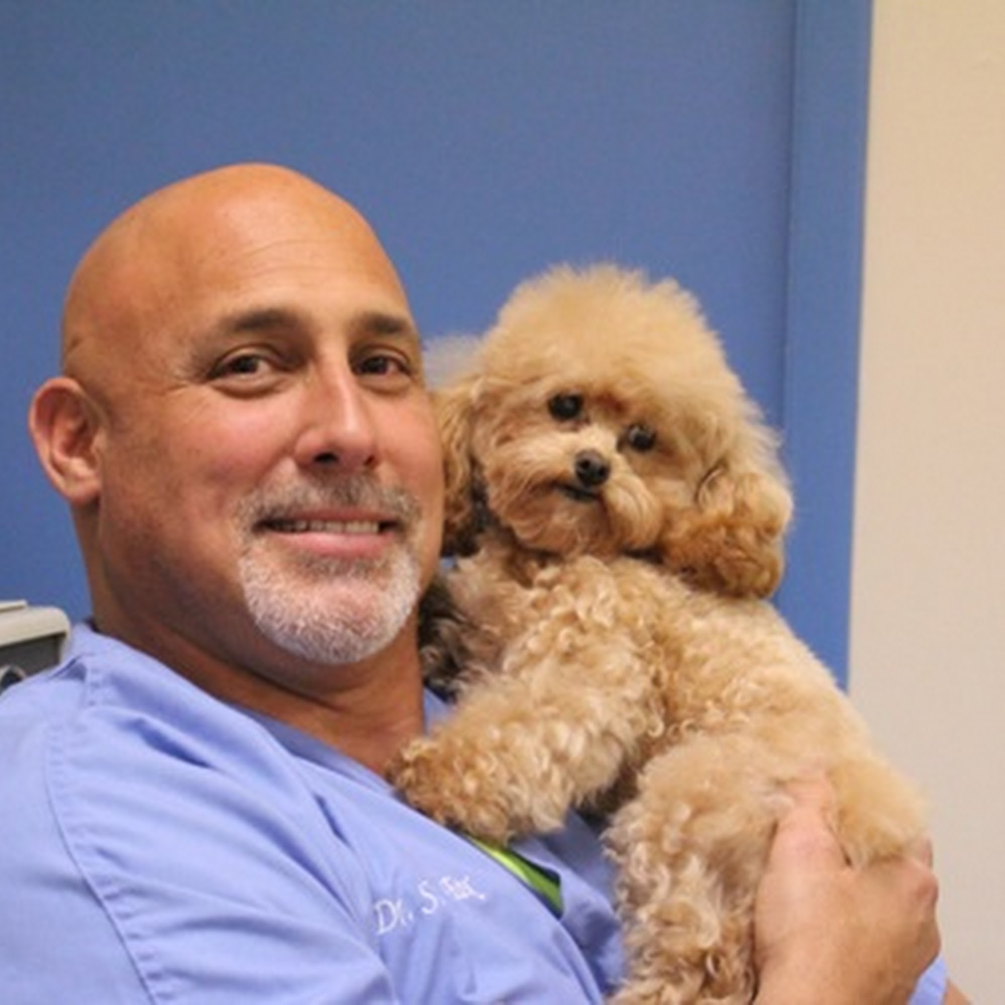 River Bridge Animal Hospital Greenacres