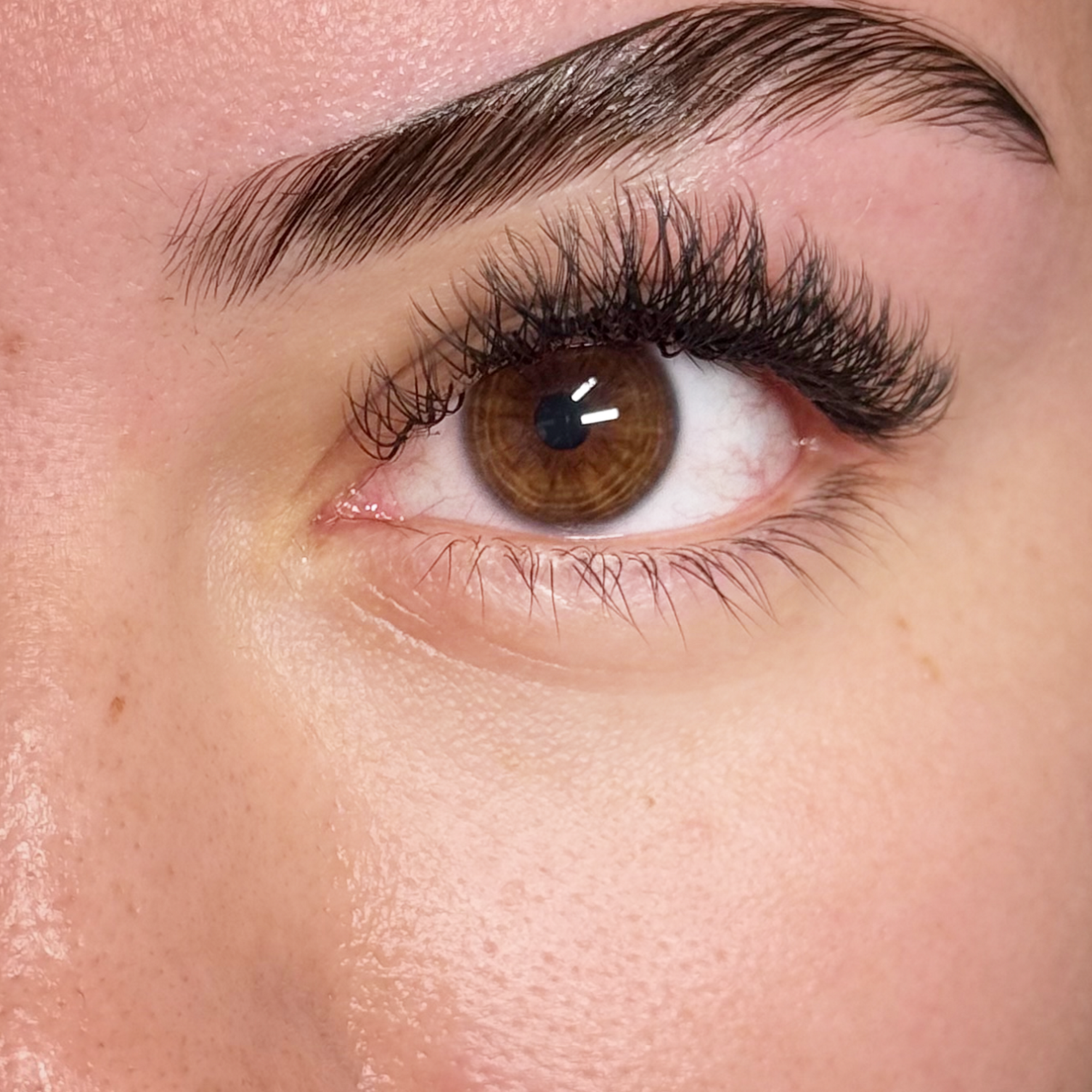 Lashes & Spa at 561 LLC
