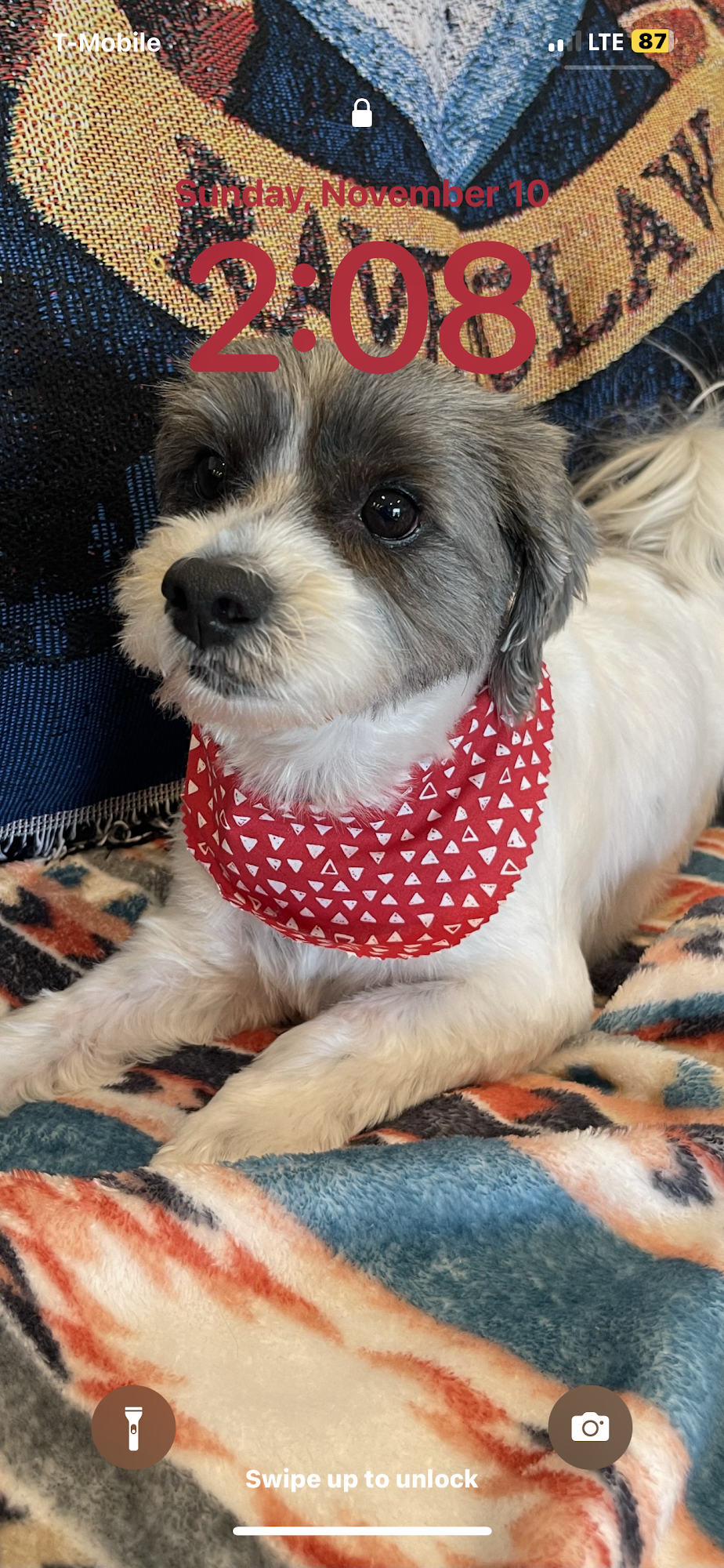 Sunny's Spot Groveland