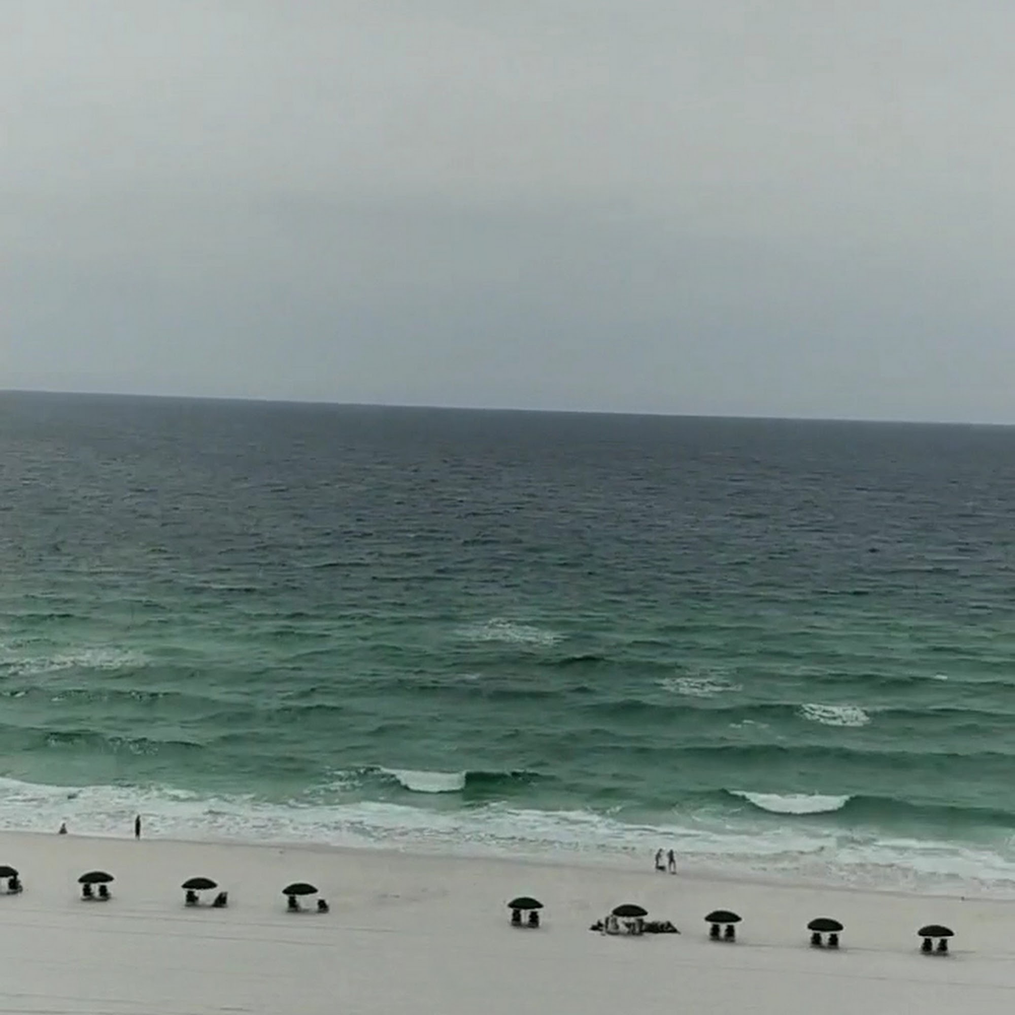 Shrimp Basket Gulf Breeze