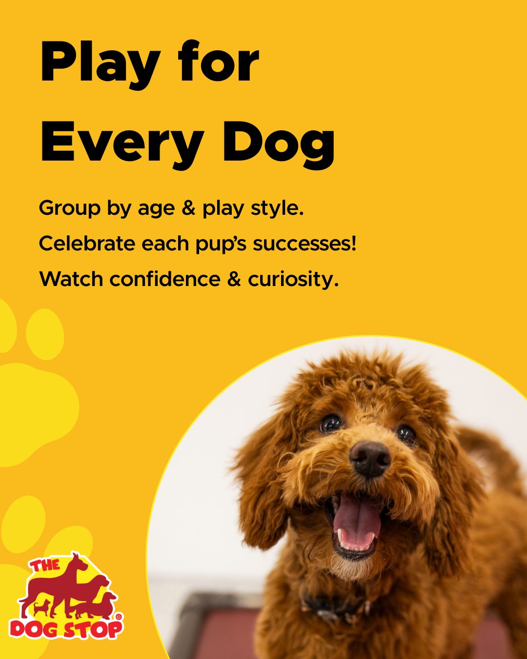 The Dog Stop - Gulf Breeze, FL Gulf Breeze