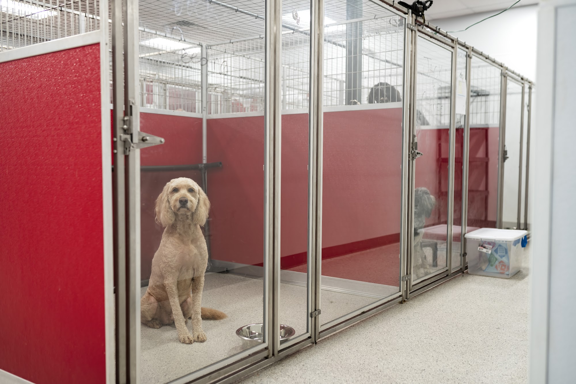 The Dog Stop - Gulf Breeze, FL Gulf Breeze