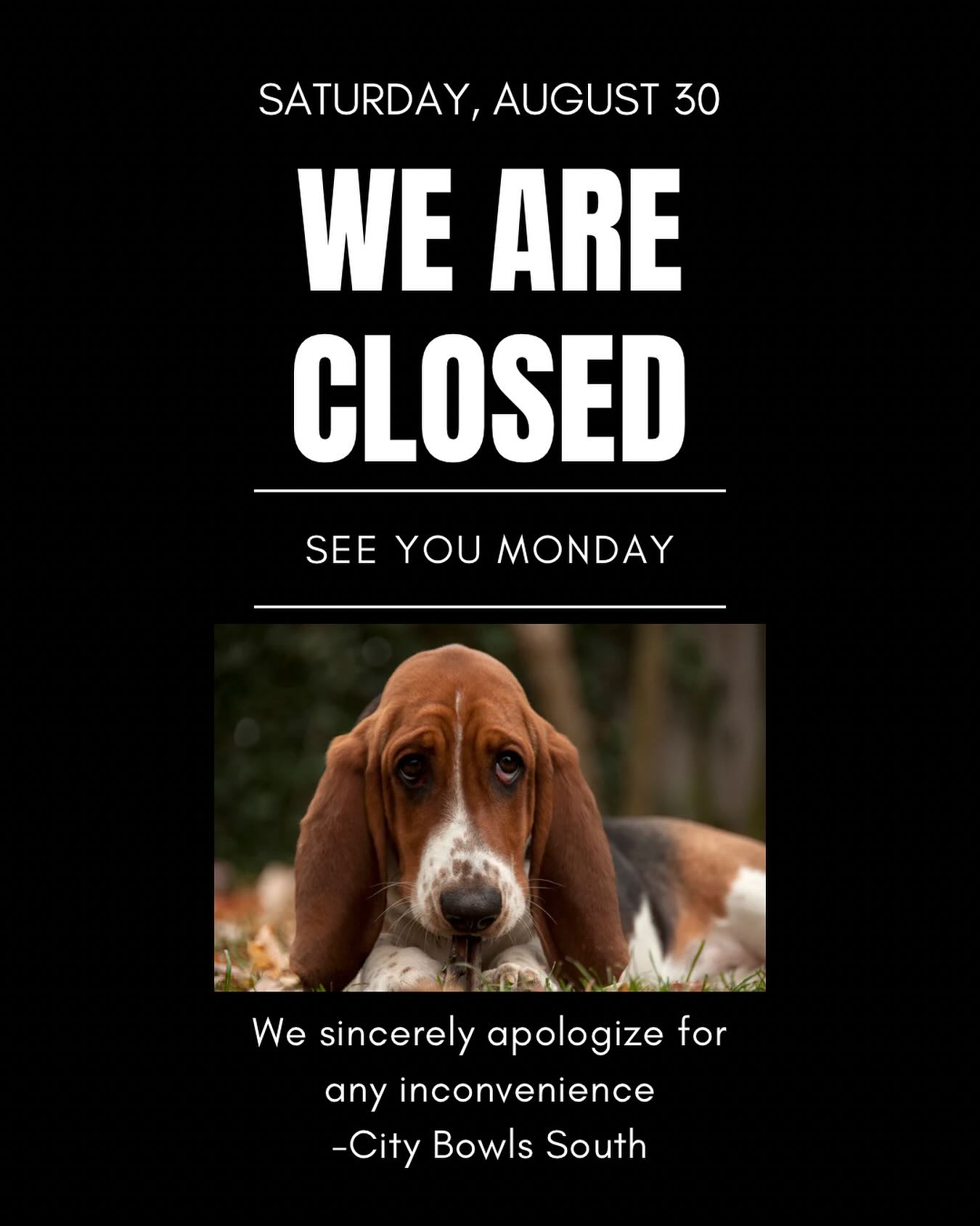 City Bowls South Pensacola Gulf Breeze