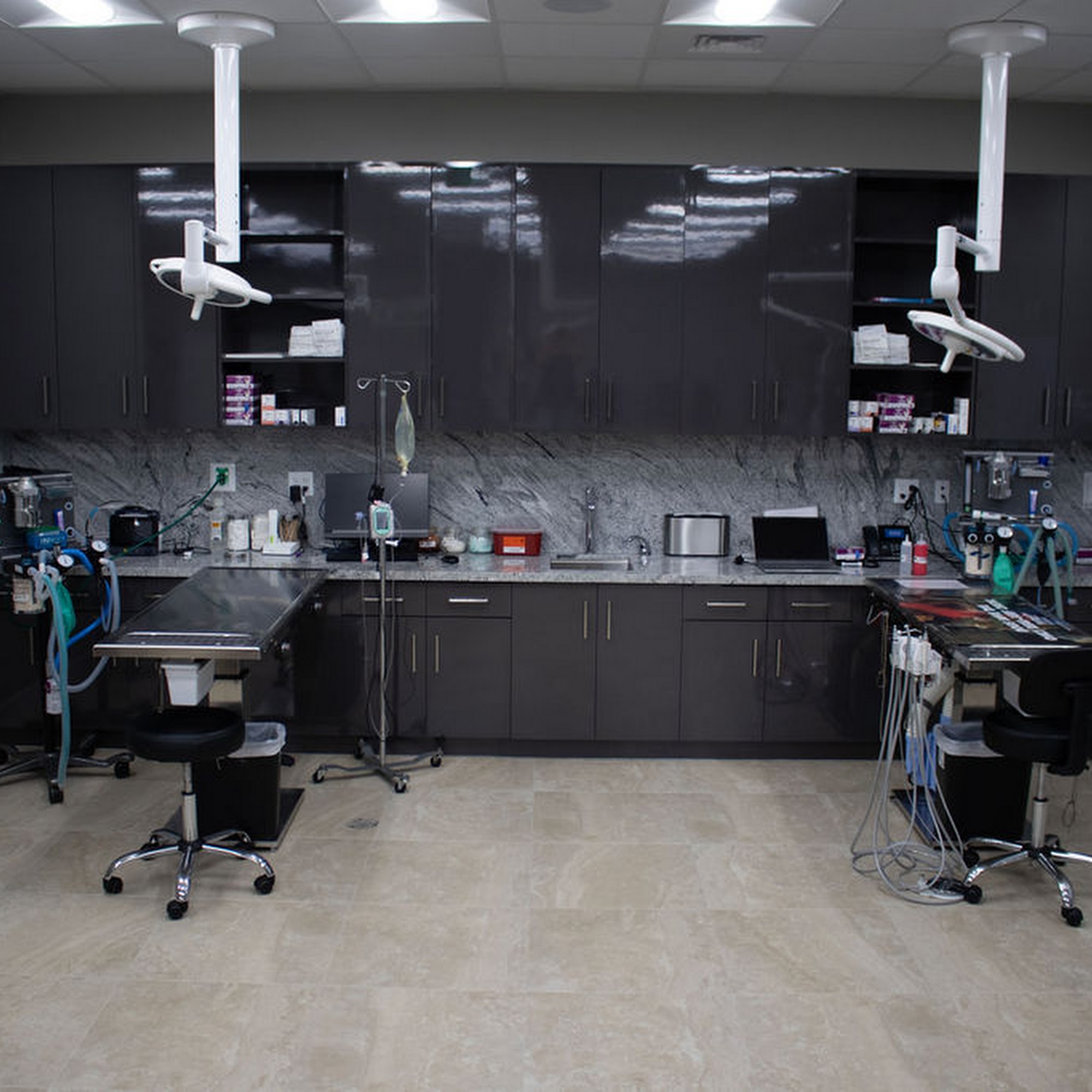 Neighborhood Veterinary Center Hallandale Beach