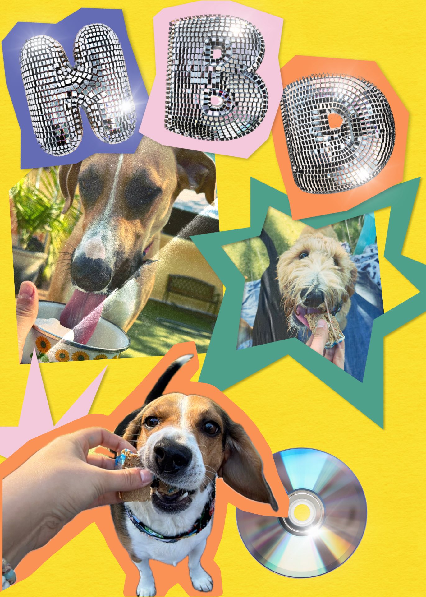 Stay & Play Pet Getaway Hernando