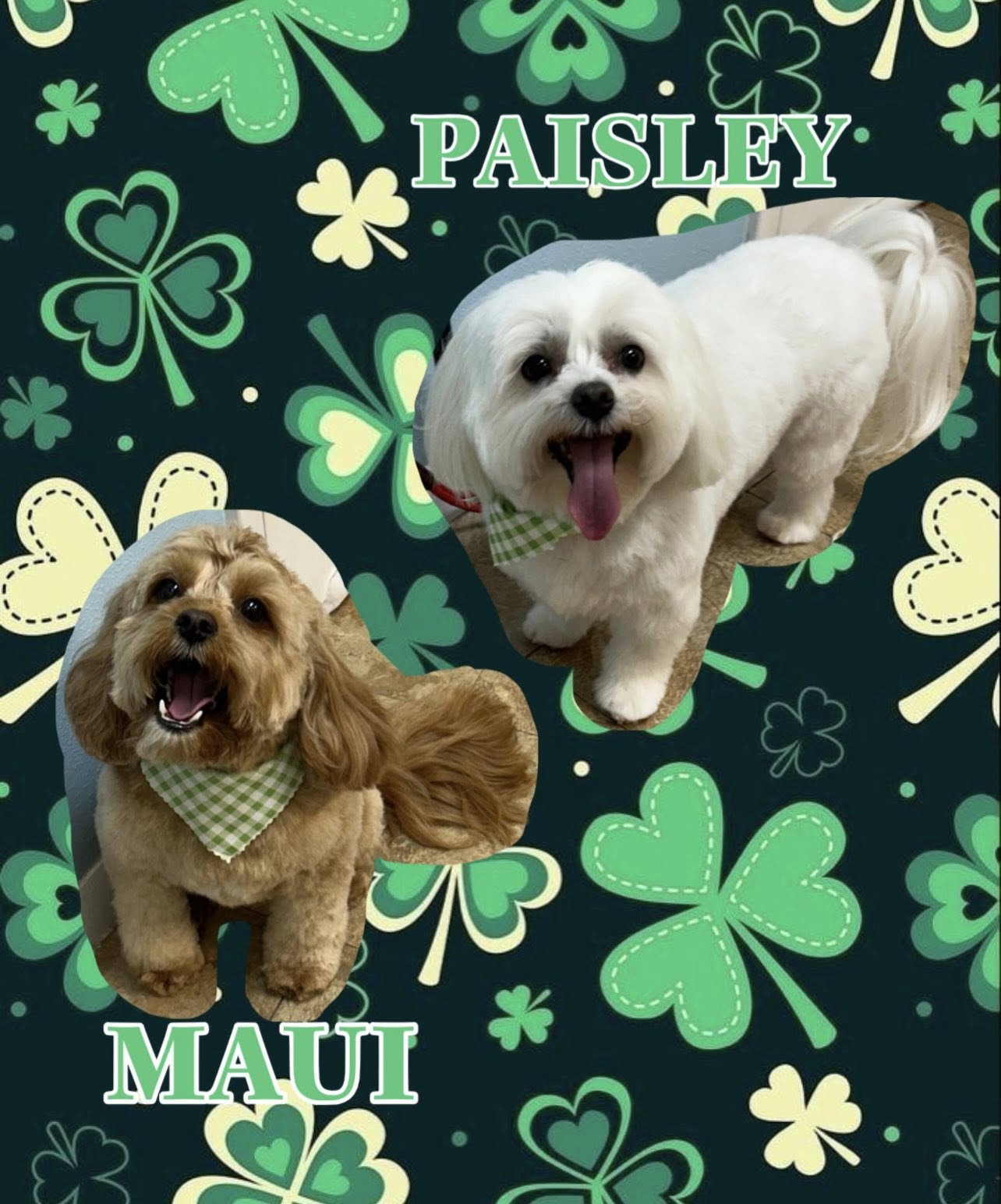 Dirty Doggies House of Beauty, LLC Hernando