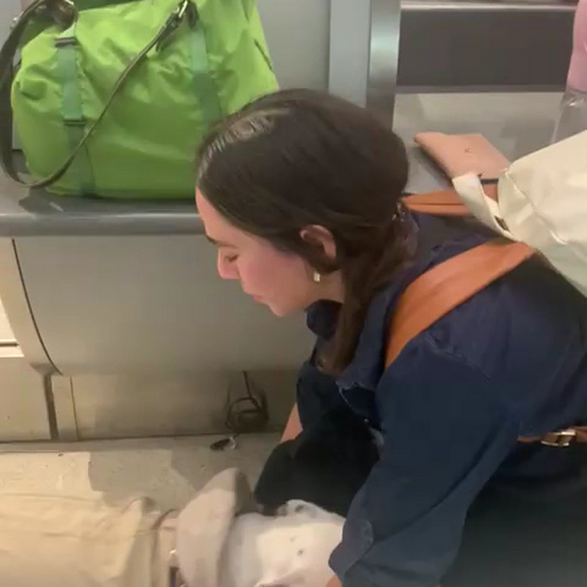 Panda Animal Clinic Hialeah