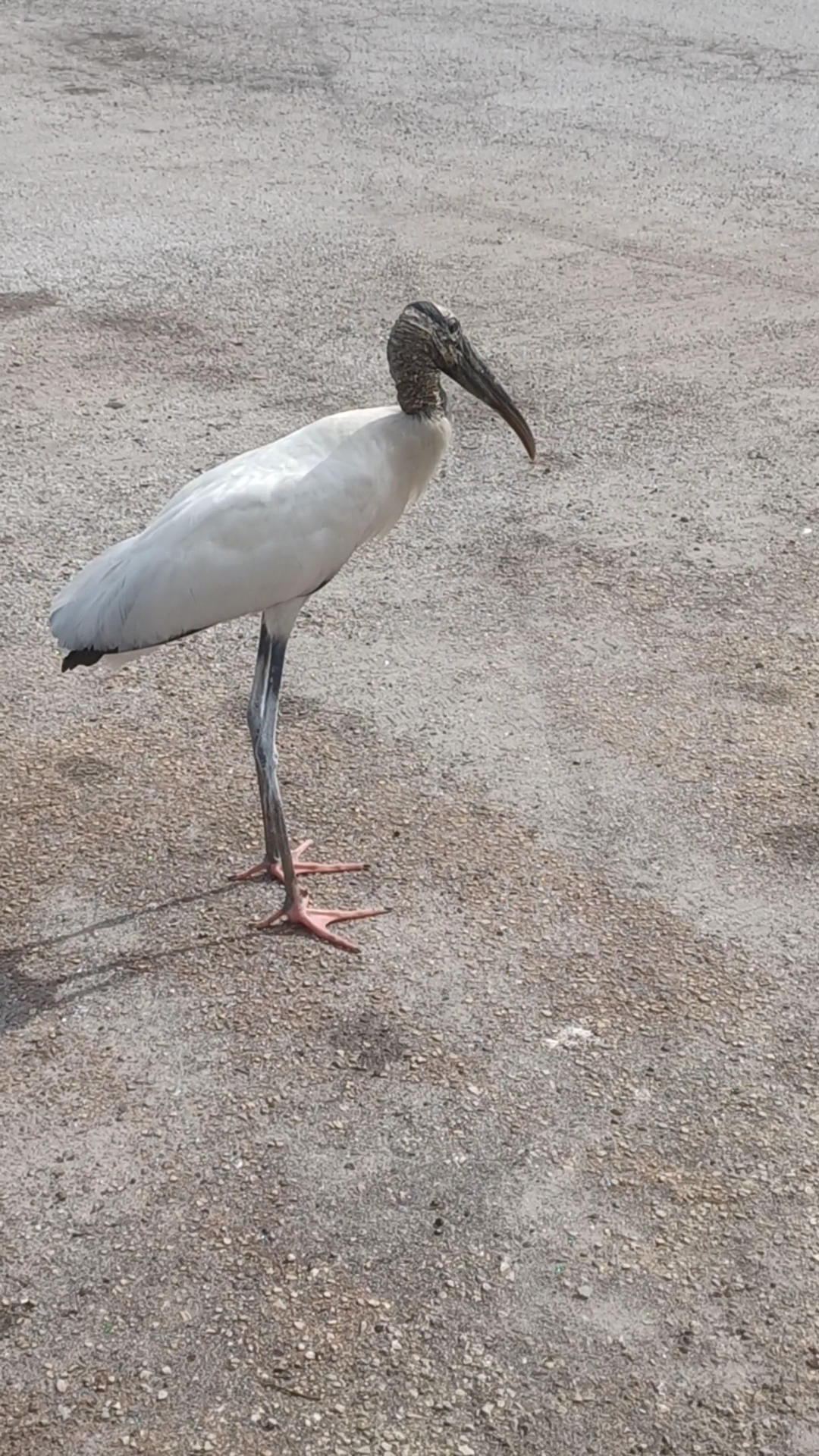 April's DD Saloon Menu