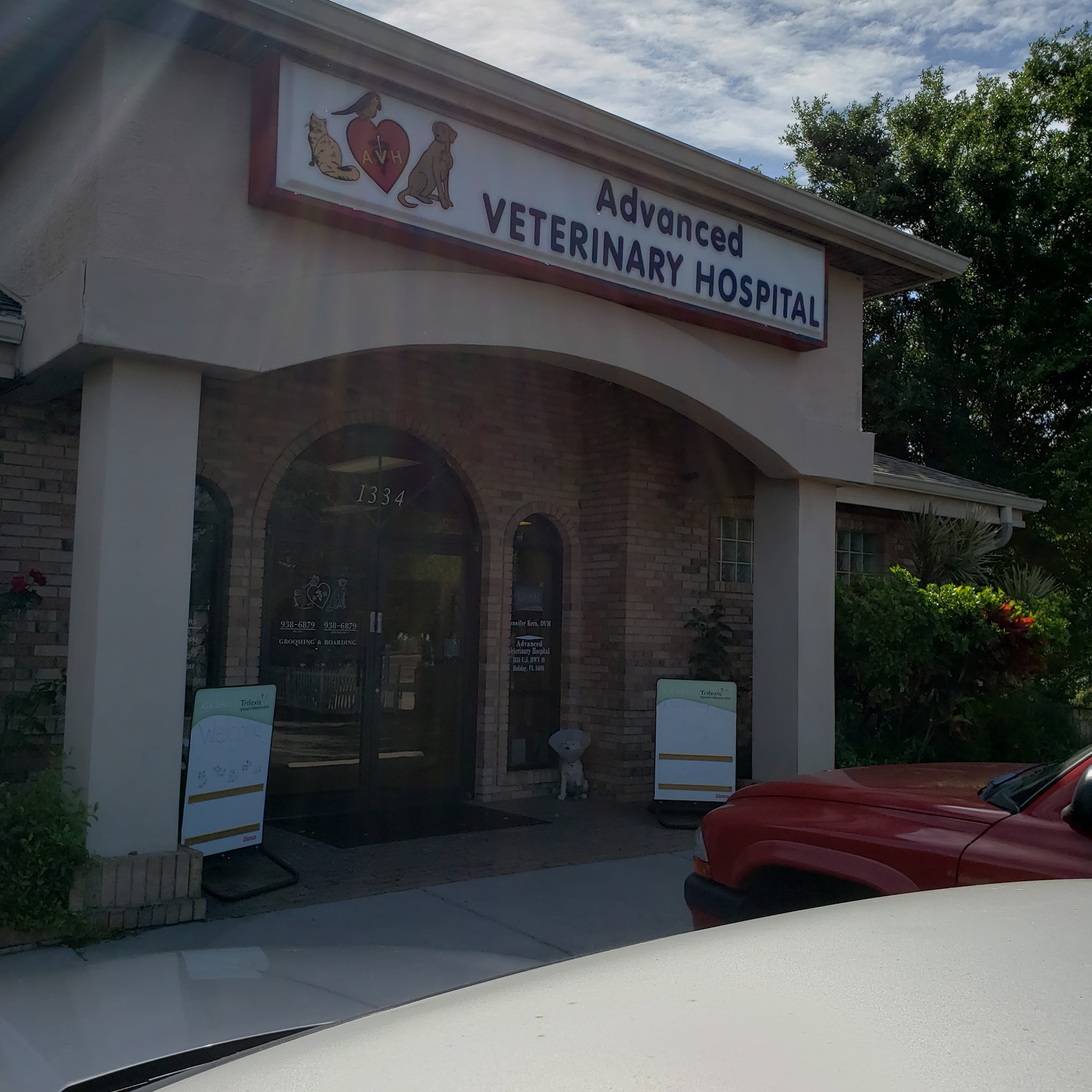 Advanced Veterinary Hospital: Dieter Scott DVM Holiday