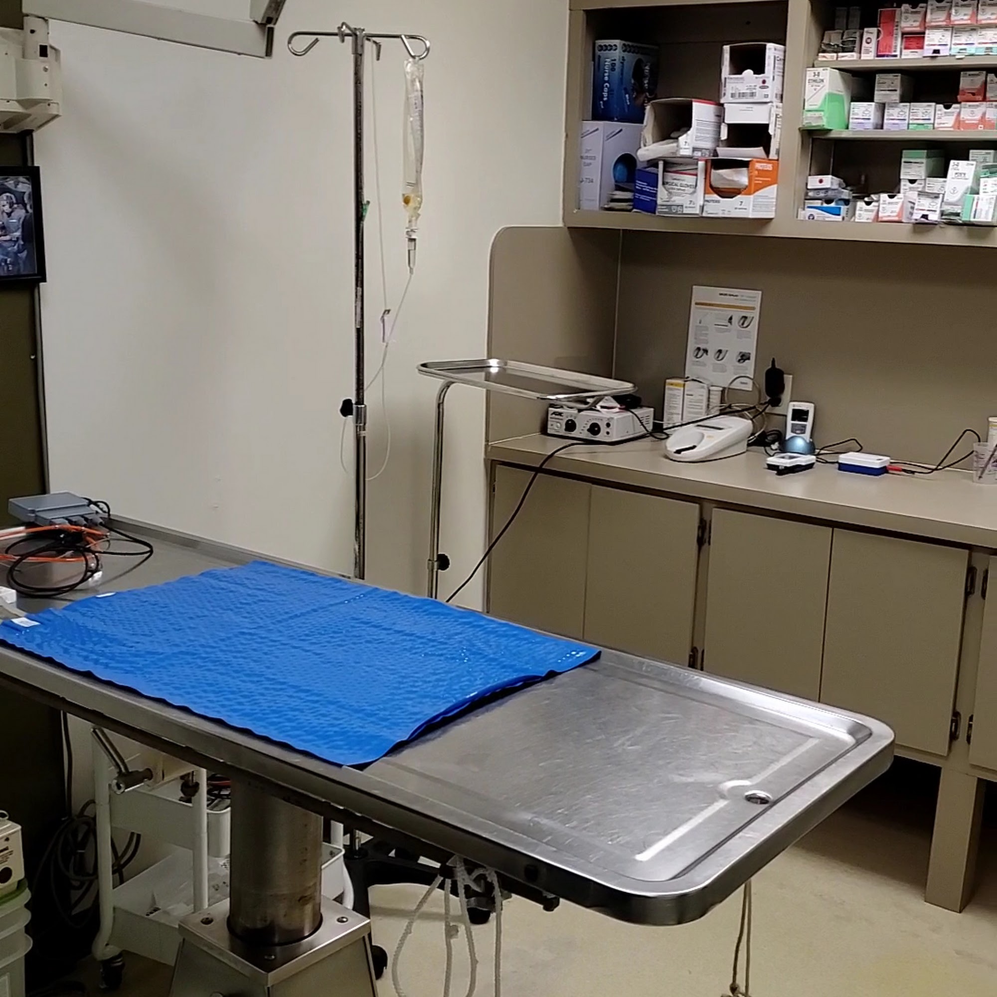 Animal Hospital Of Pembroke Road | Hollywood Vets Hollywood