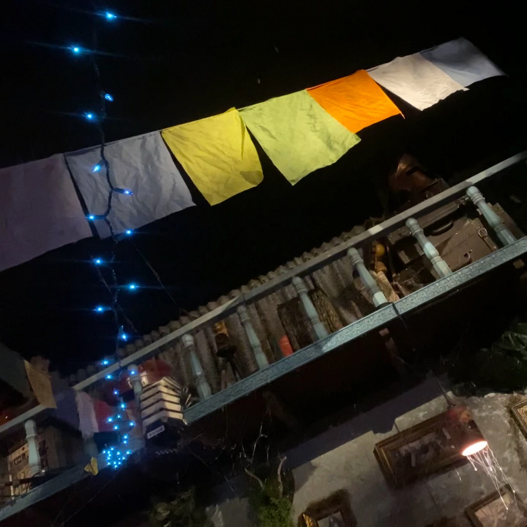 Twisted Roots Kava Brewery Hollywood