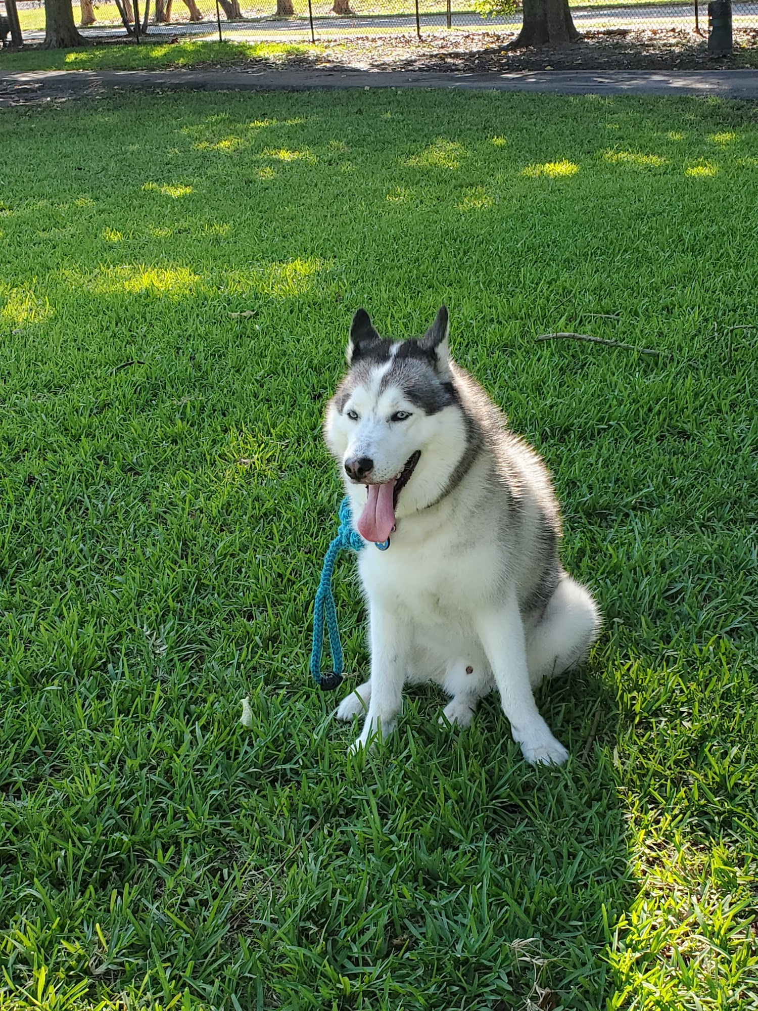 Poinciana Park Hollywood
