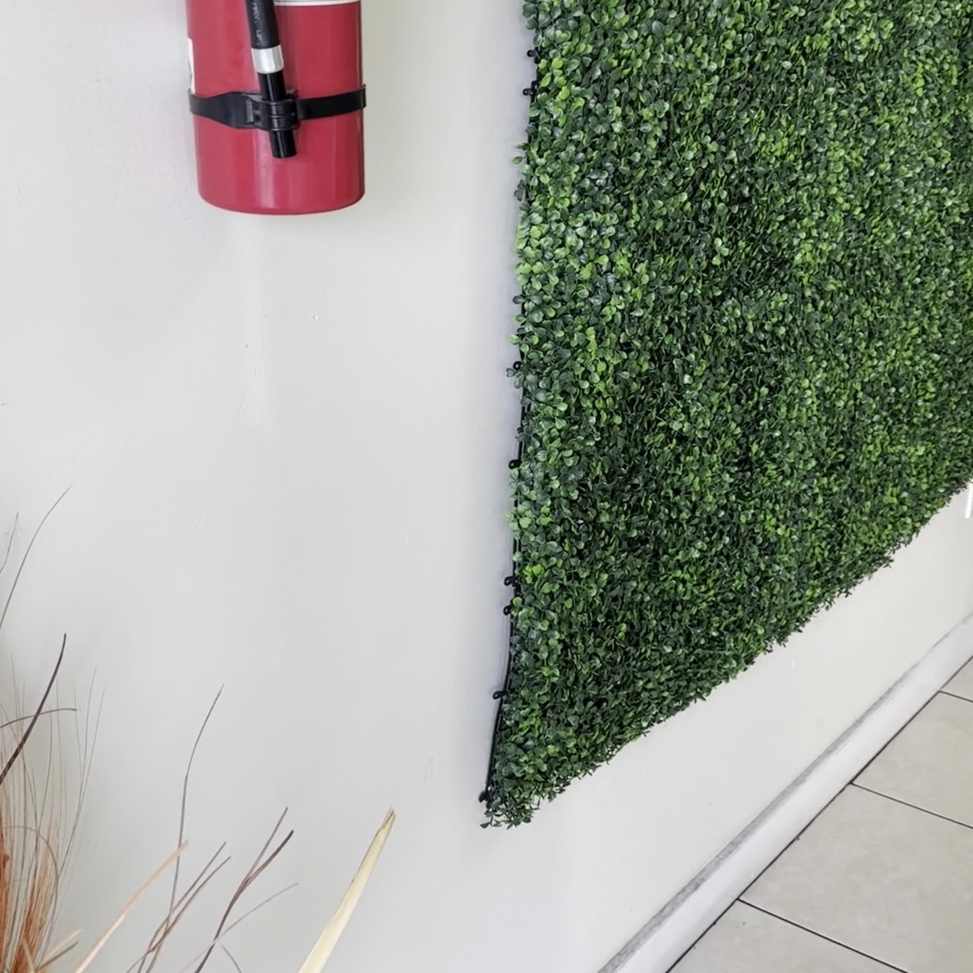 Herbalife Impact Nutrition Hollywood