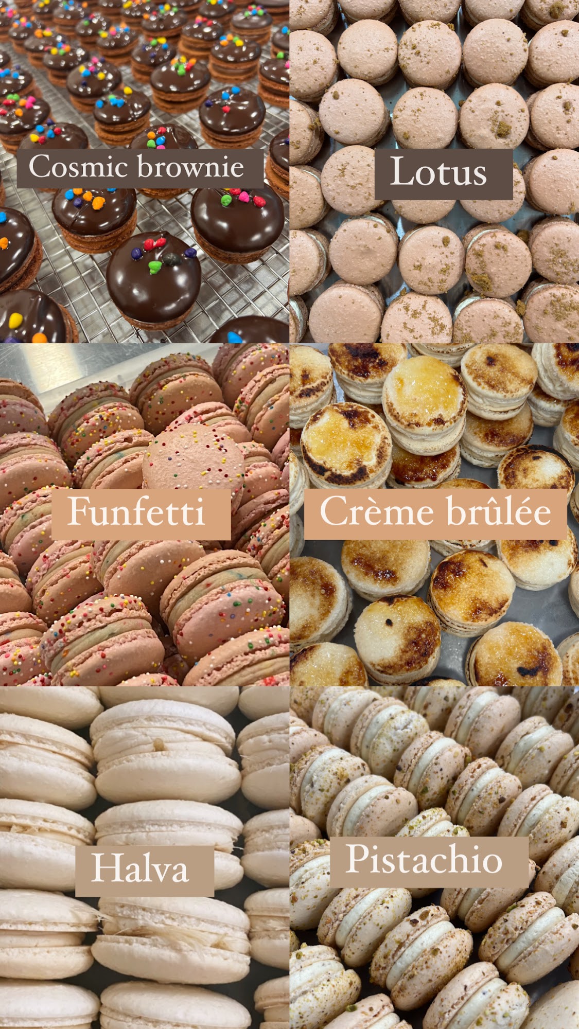 Macaron by Hadas Menu