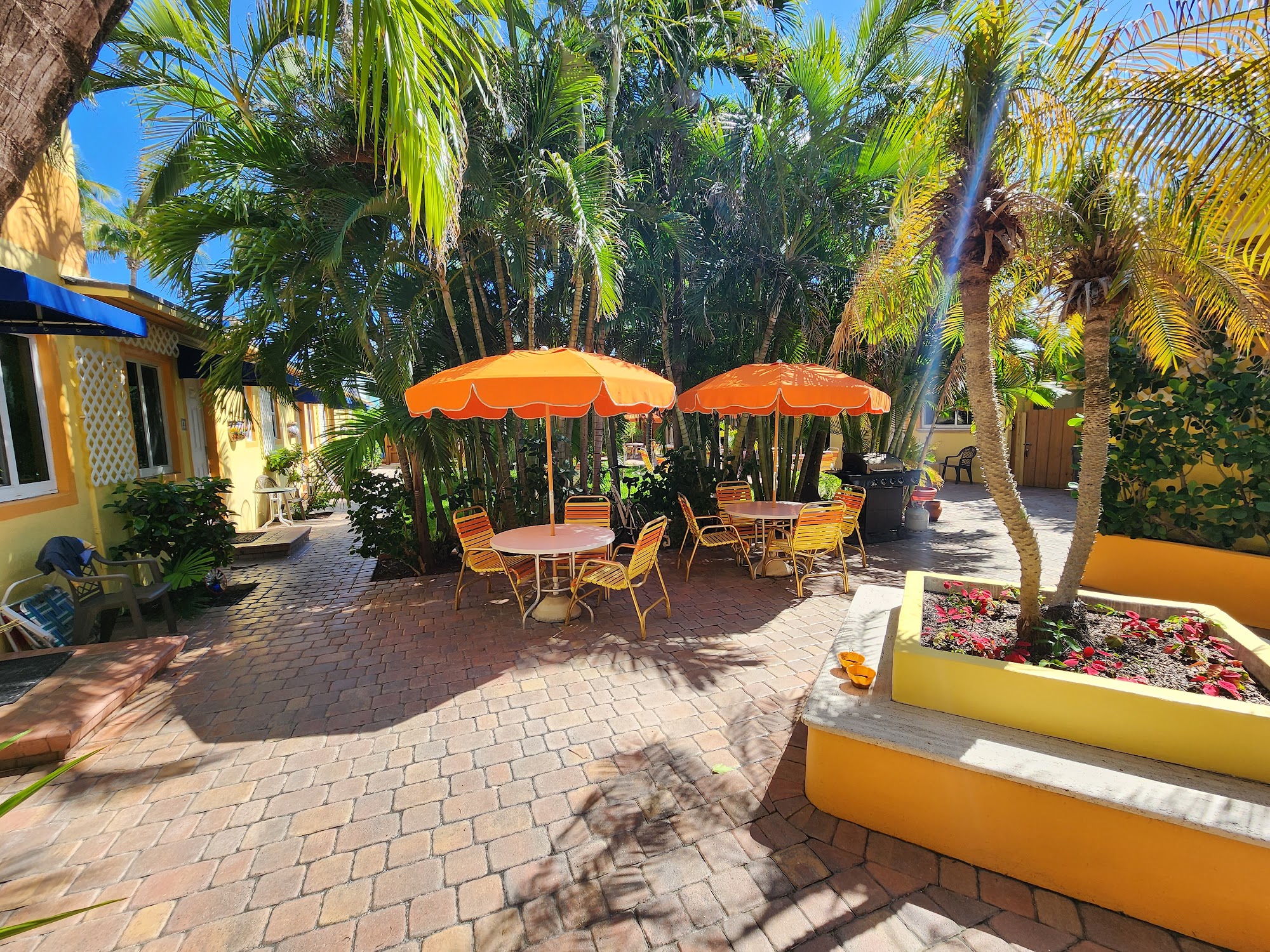 Bougainvillea On the Beach Hollywood