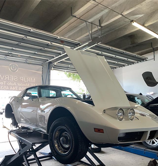 MRJP SERVICE Hollywood