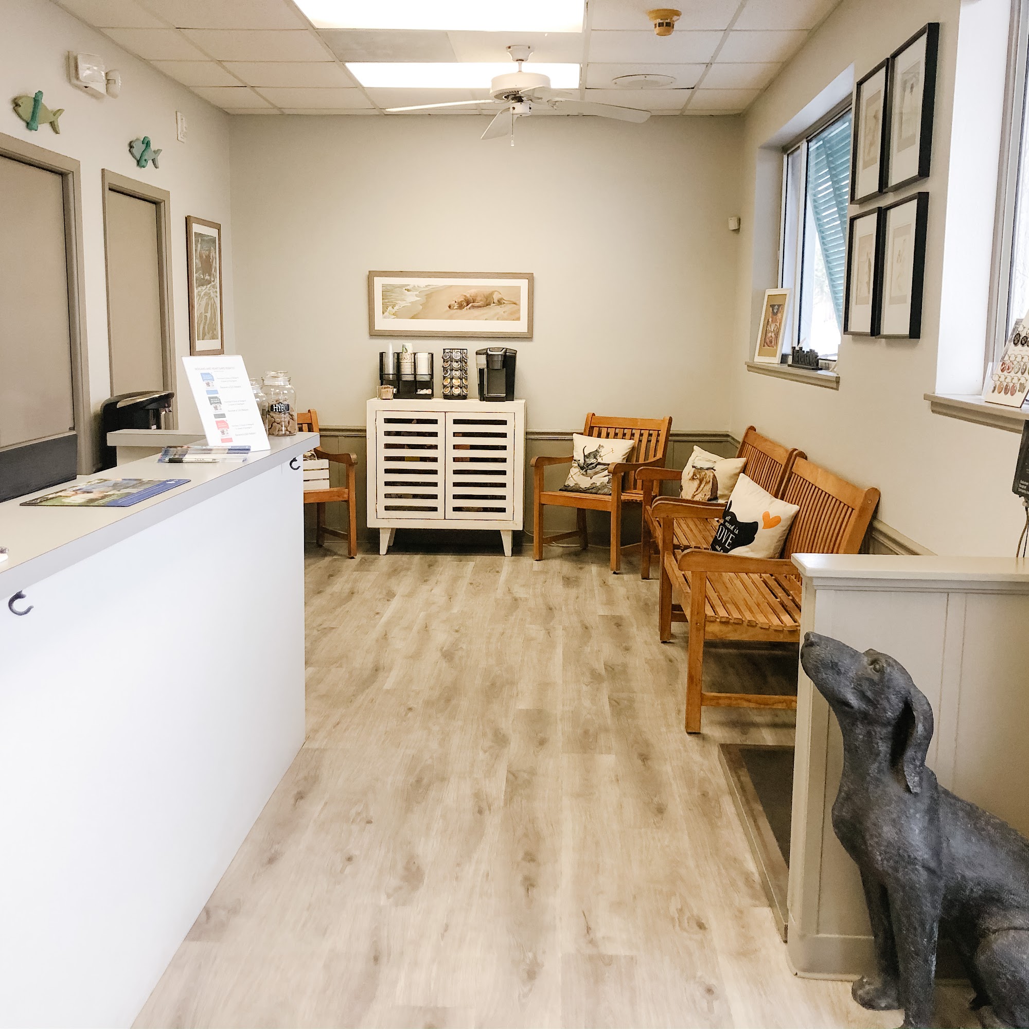 Island Animal Clinic Holmes Beach