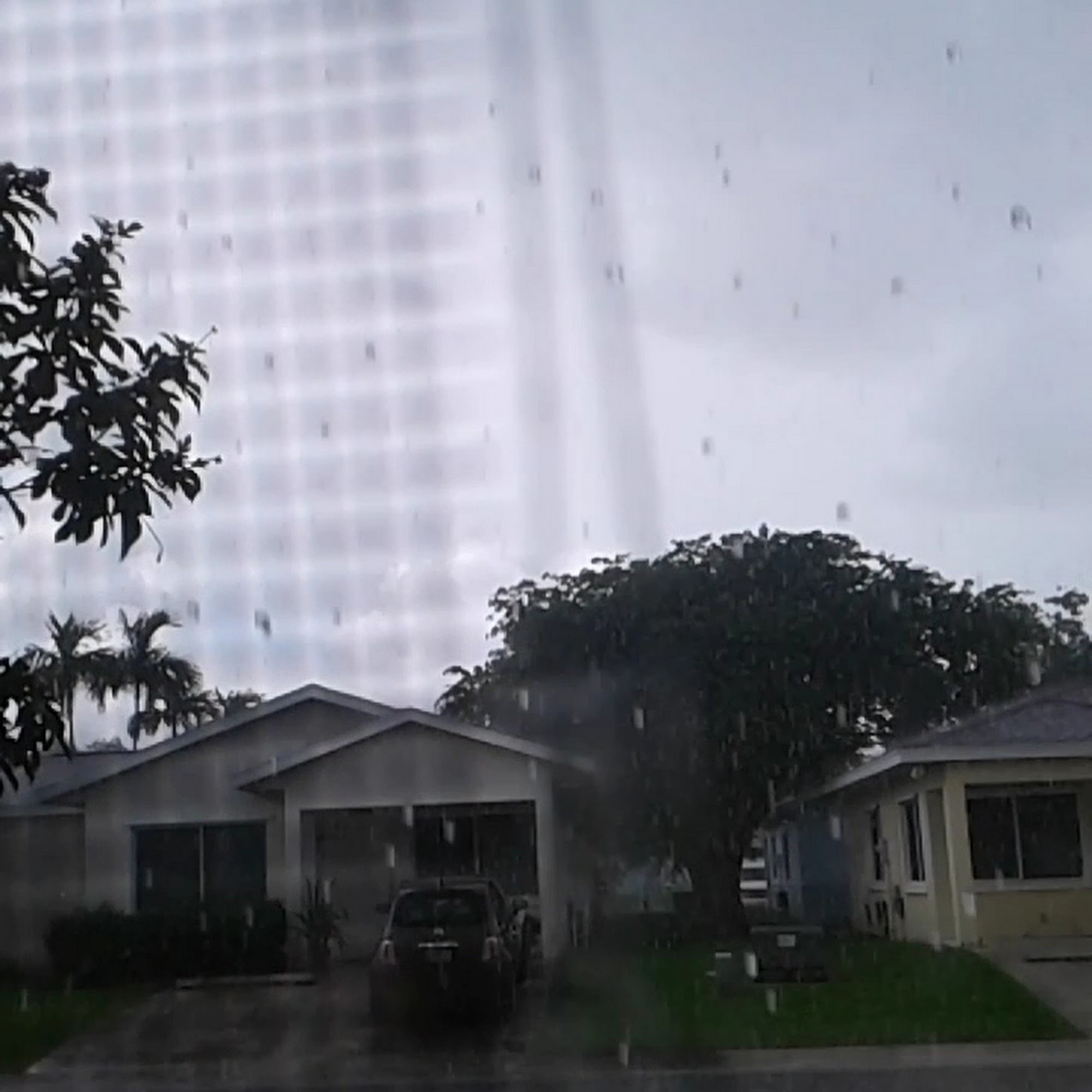 Los Potosinos Taqueria Homestead