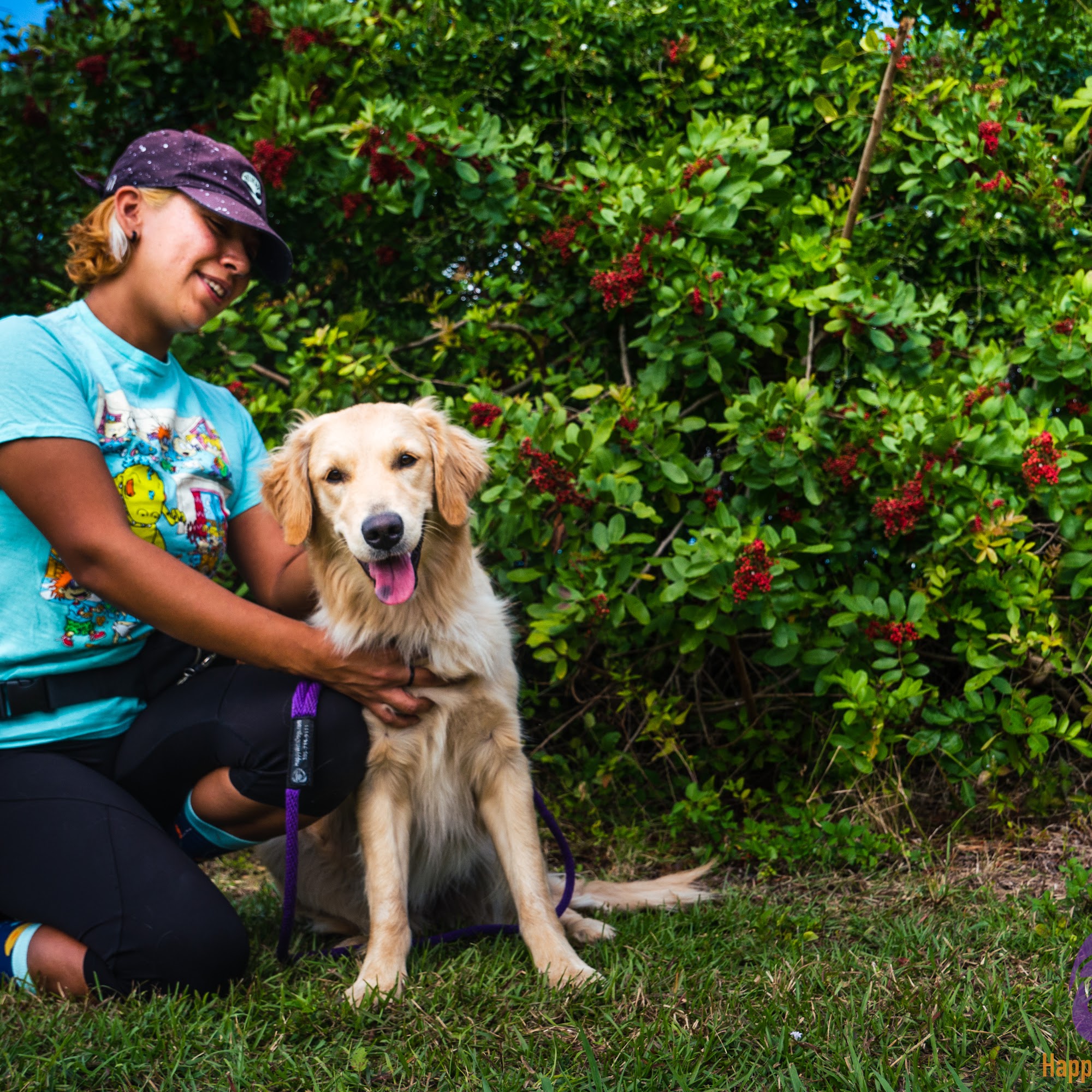 Happy With Dogs Homestead