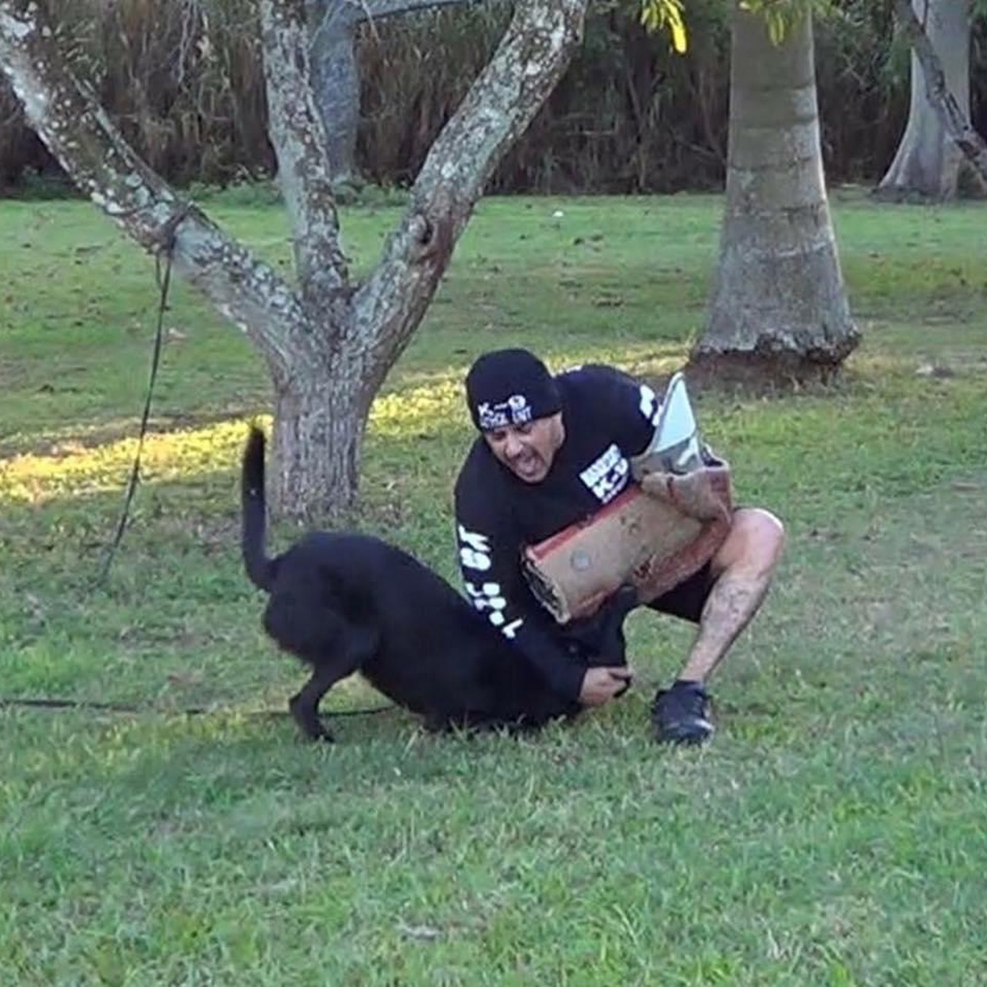 Alligator K-9 Police Dogs Homestead