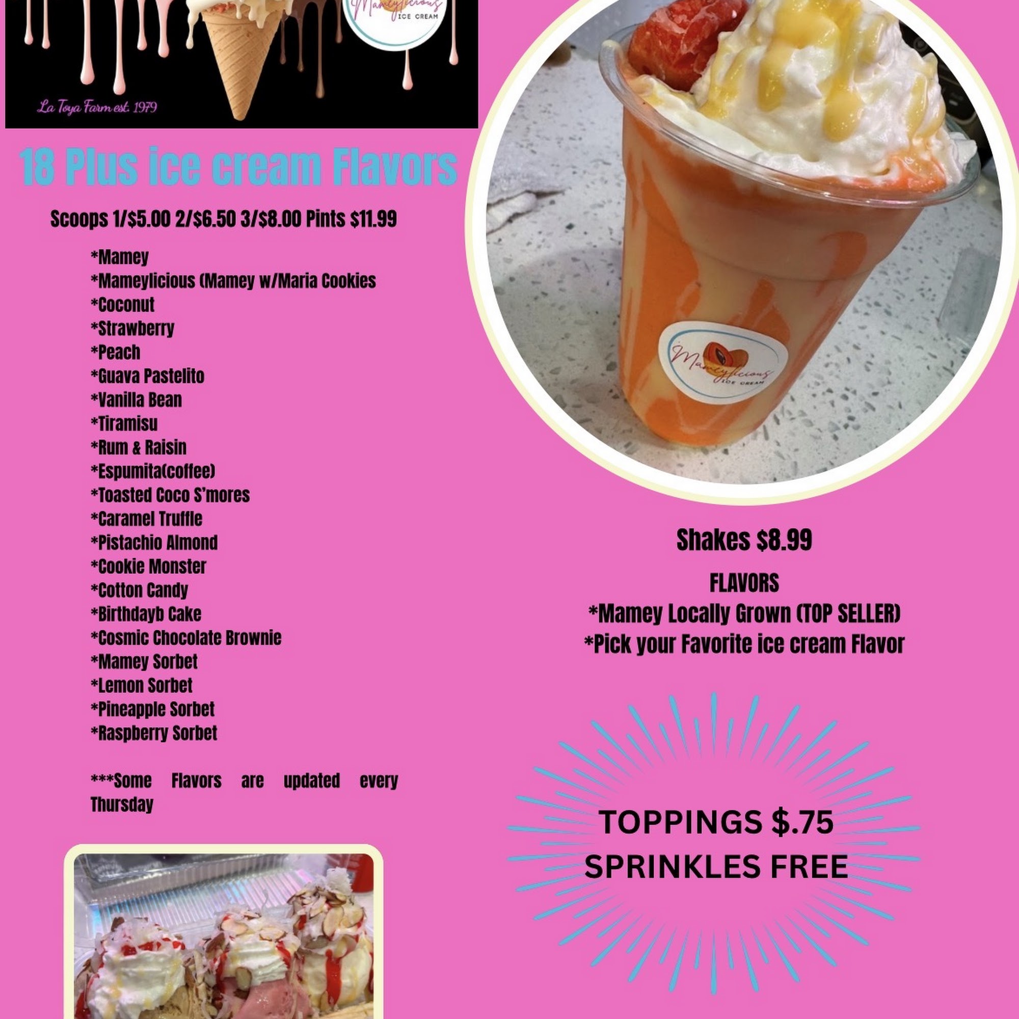 Mameylicious ice cream Menu