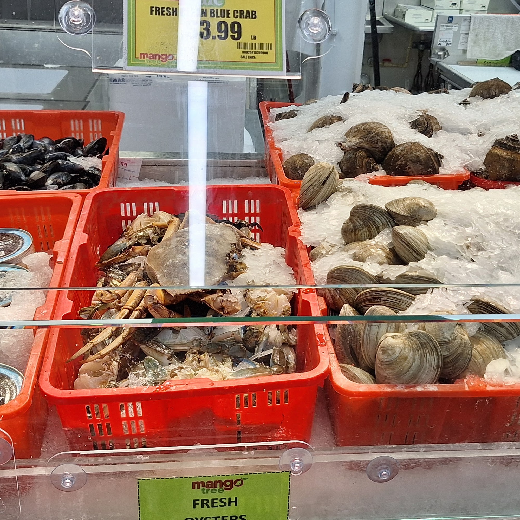 Mango Tree Supermarket Homestead