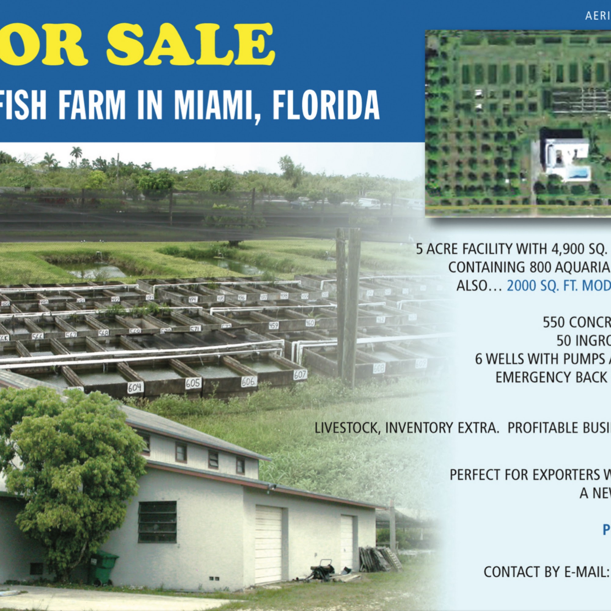 Old World Exotic Fish Inc Homestead