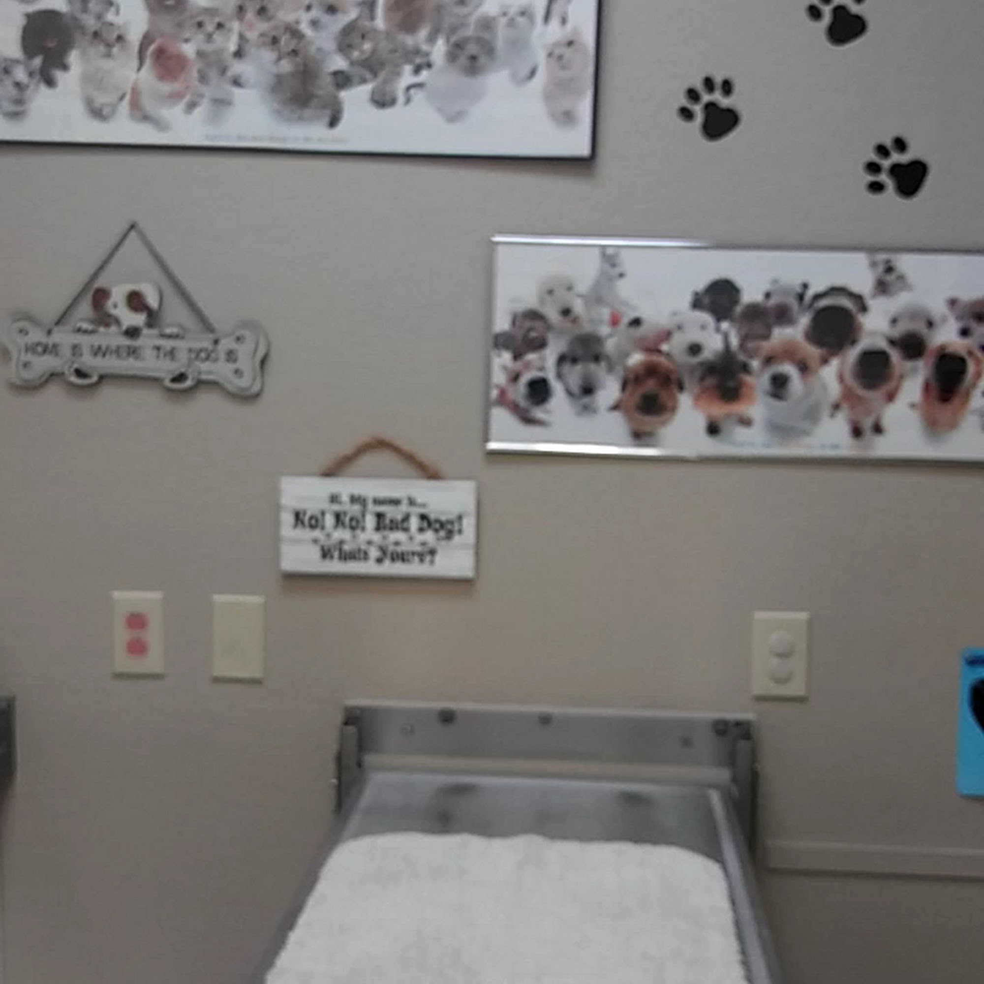 Acupet Veterinary Care Hudson
