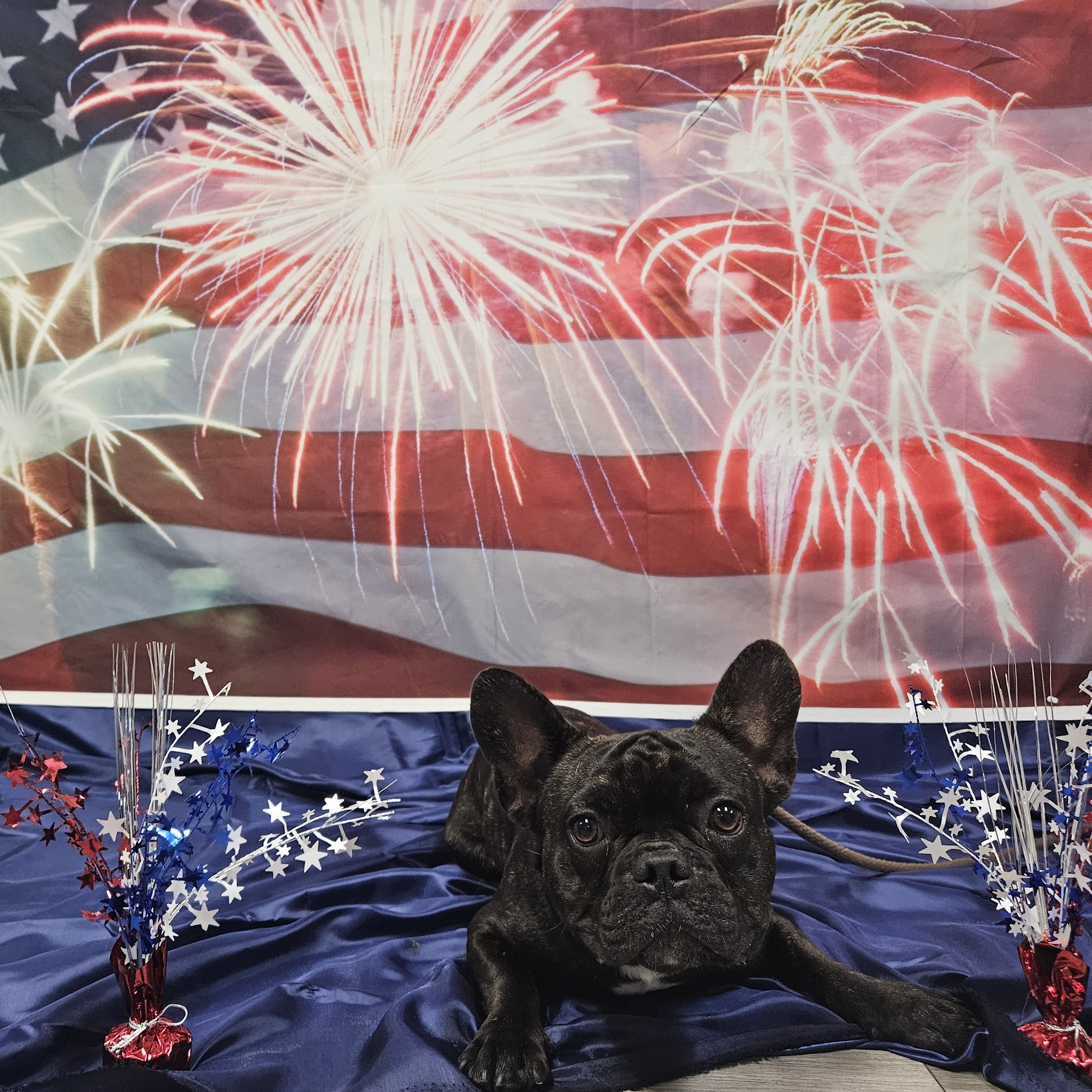 Hudson K-9 Emporium Hudson