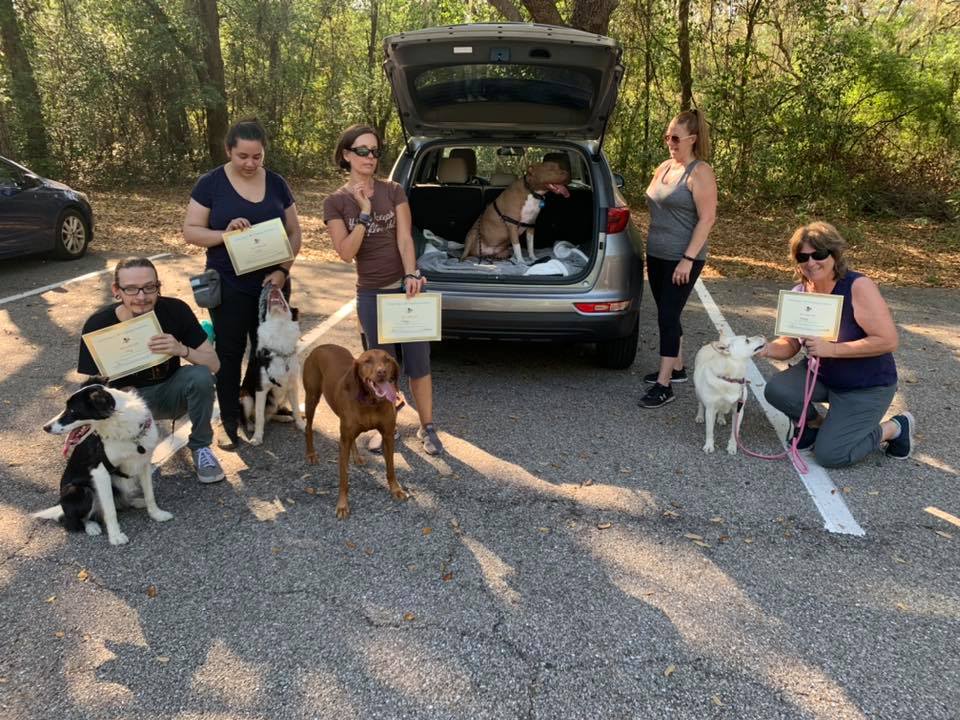 Trick Dog U K9 Training Academy Hudson