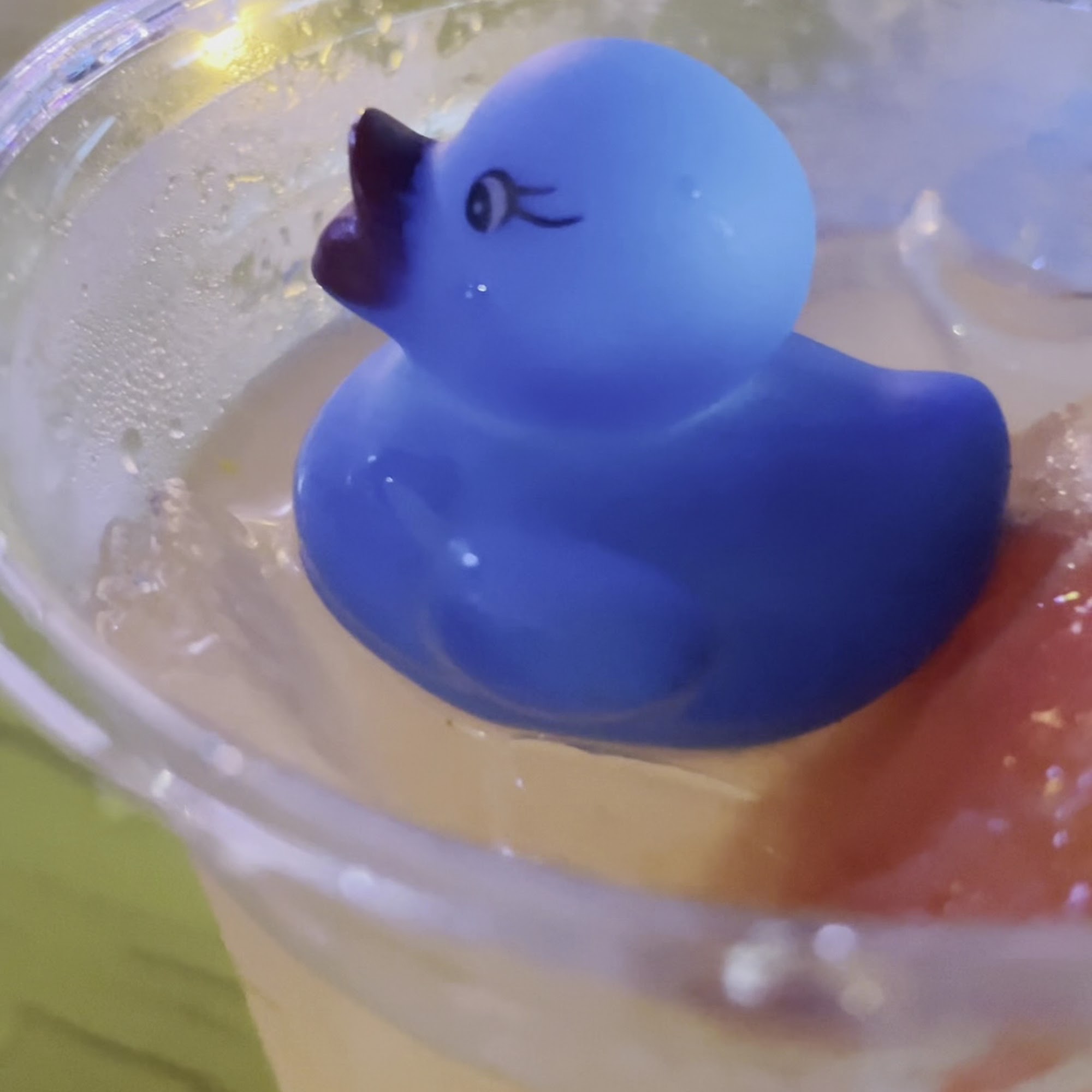 Coco's Crush Bar and Grill IRB Indian Rocks Beach