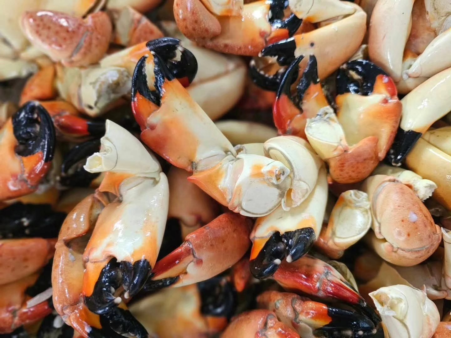 Brooks Dockside Seafood (Seafood Market) Inglis