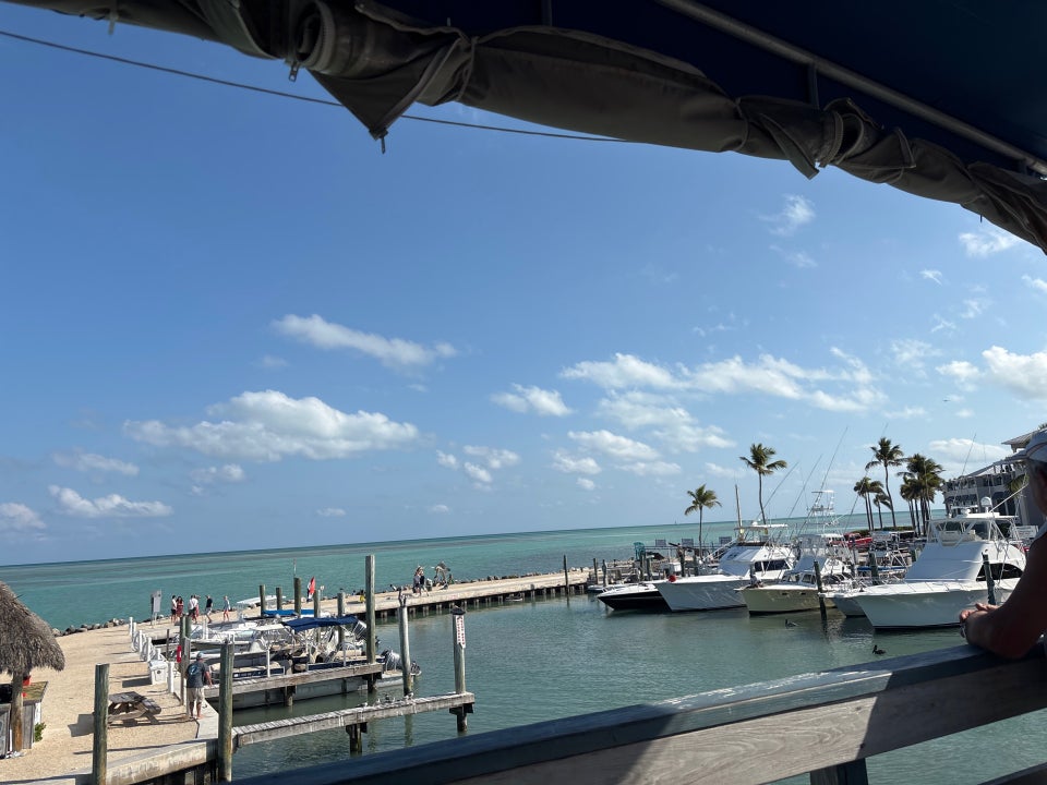 Wahoo's Seafood Bar and Grill Restaurant Islamorada
