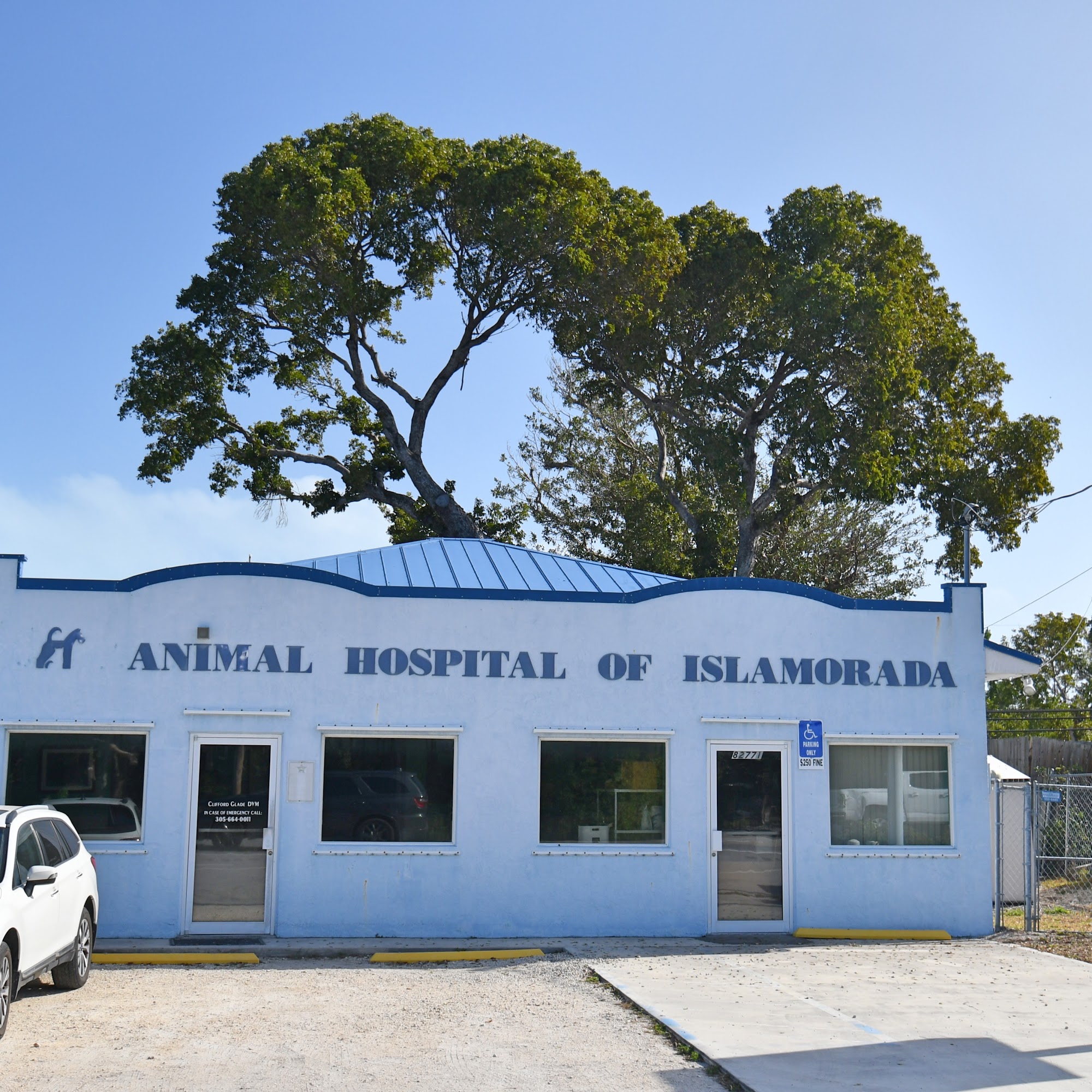 The Animal Hospital of Islamorada Islamorada