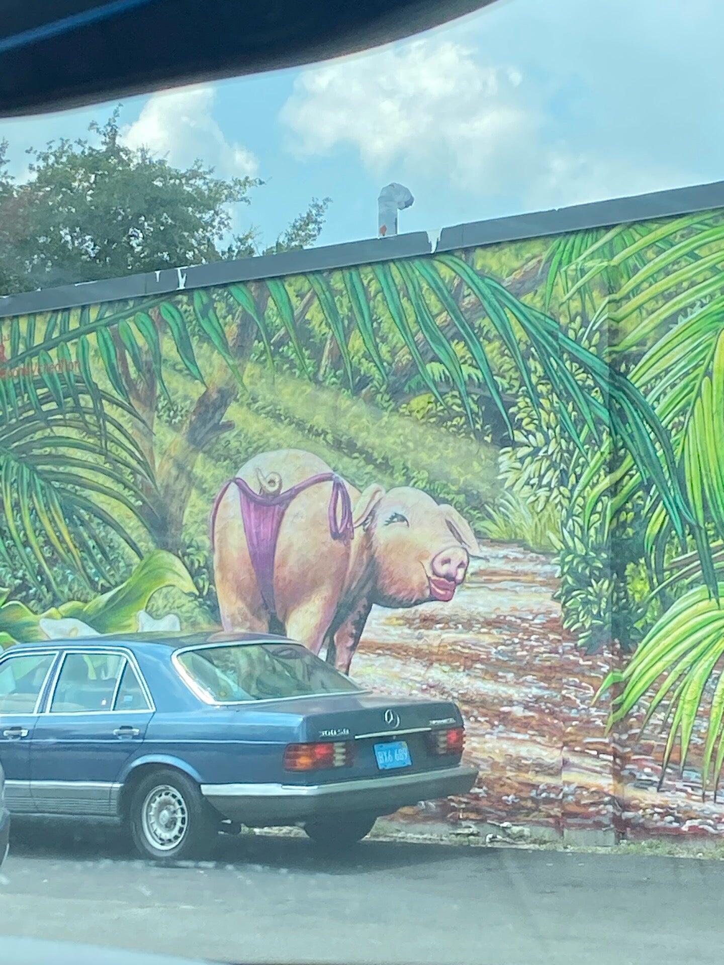 Photo credit: nextdoor