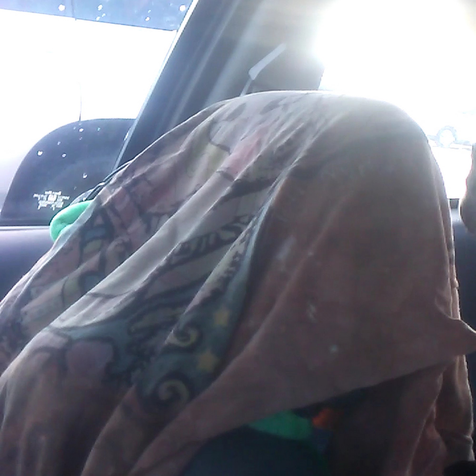 Jacksonville Community Pet Clinic, Beaches Jacksonville Beach