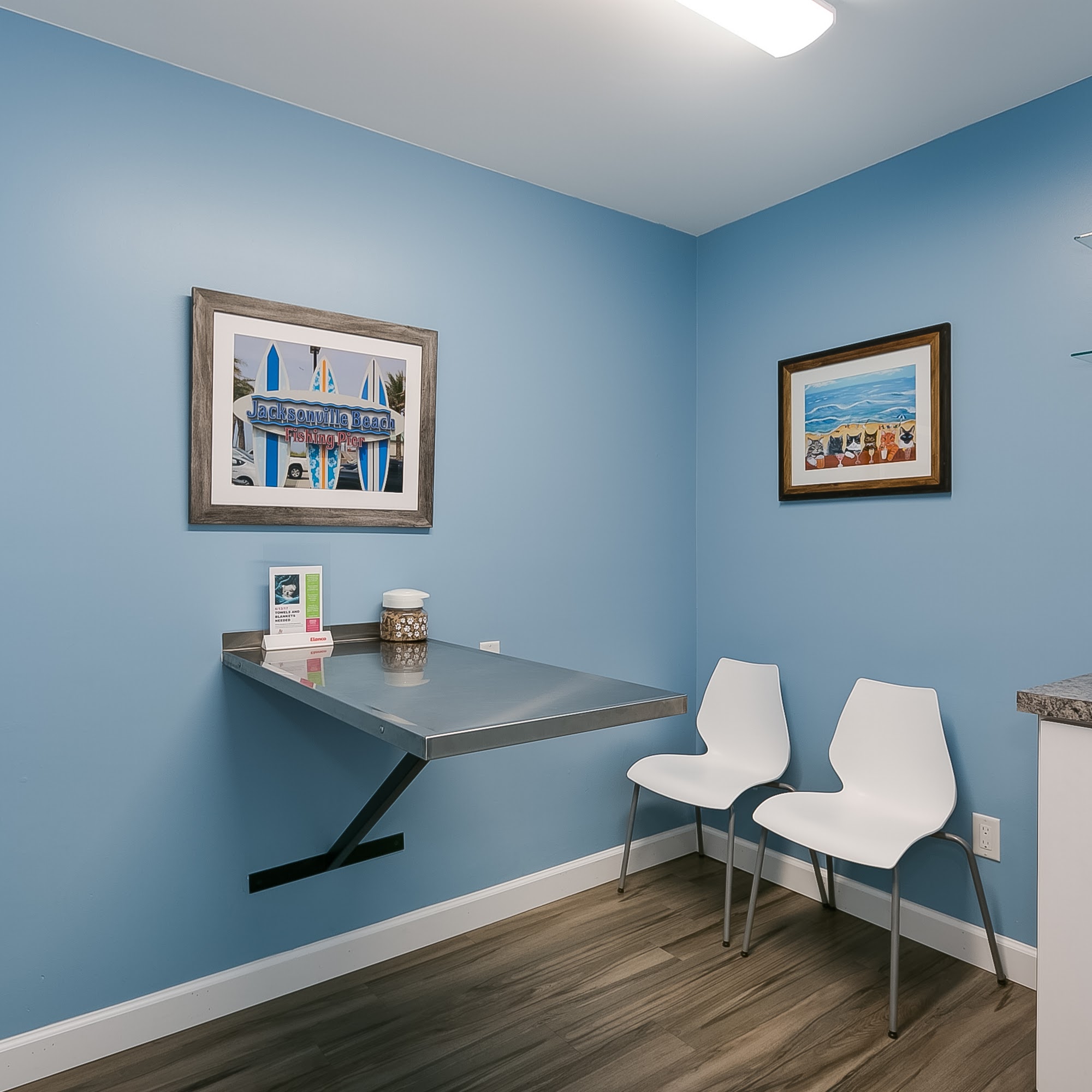 Oceanview Veterinary Hospital Jacksonville Beach