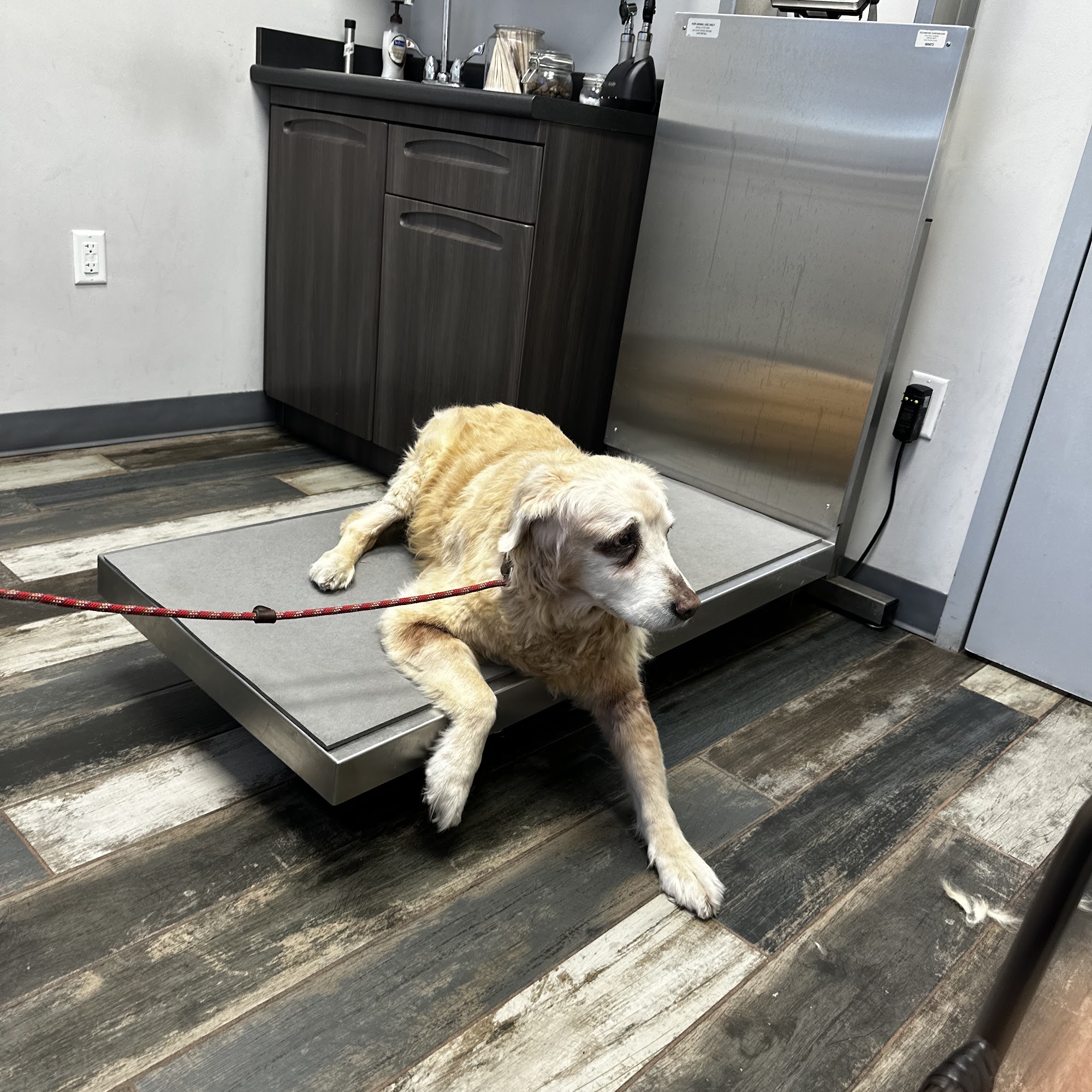 Dr. Charles J. Cole Jacksonville Beach