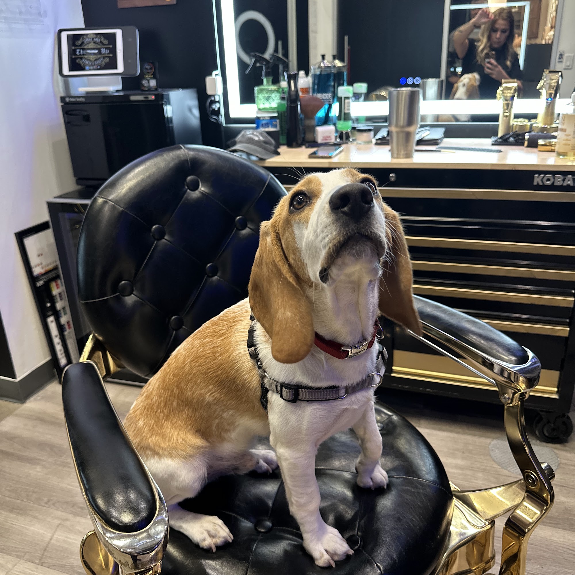 Throttle Up Barber & Beauty Salon 1388 Beach Blvd Lofts #6 & #7, Jacksonville Beach Florida 32250