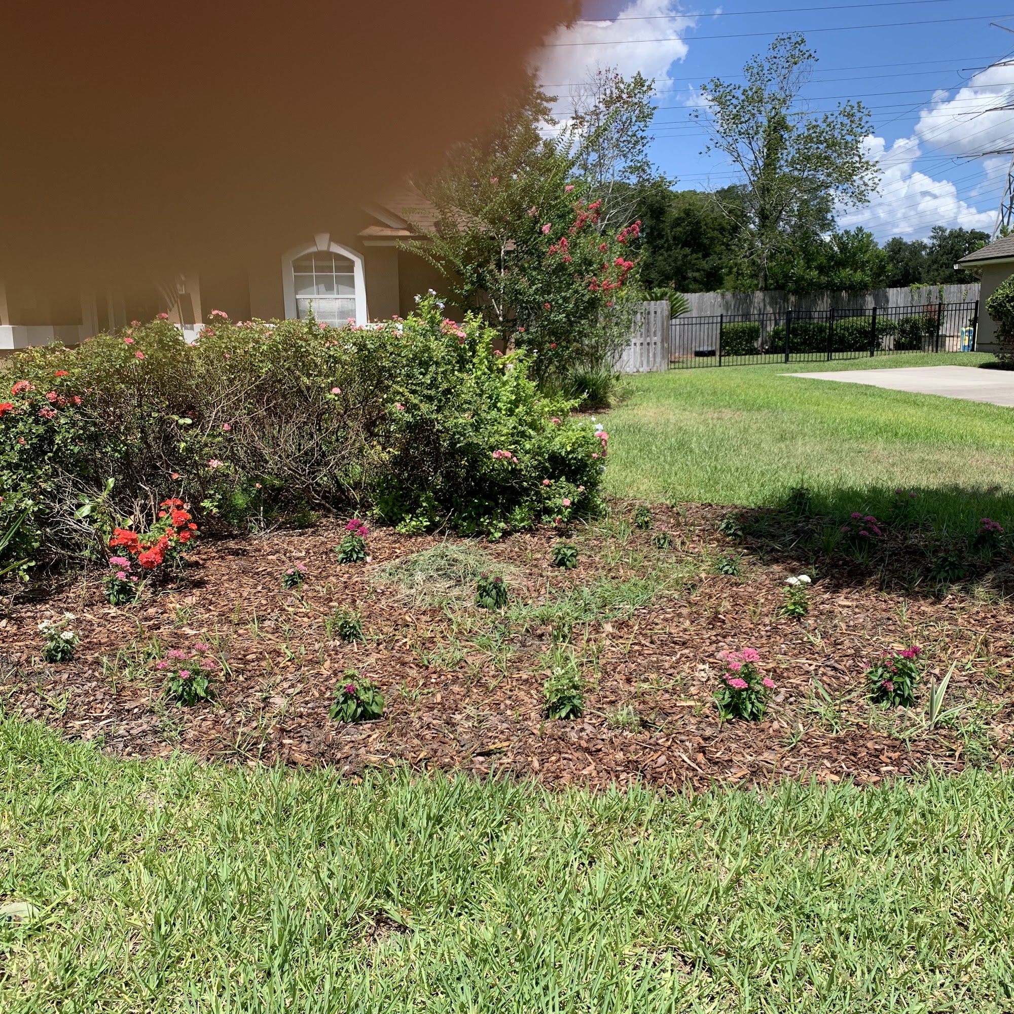 My Jacksonville Landscaper, LLC 1719 Penman Rd, Jacksonville Beach Florida 32250