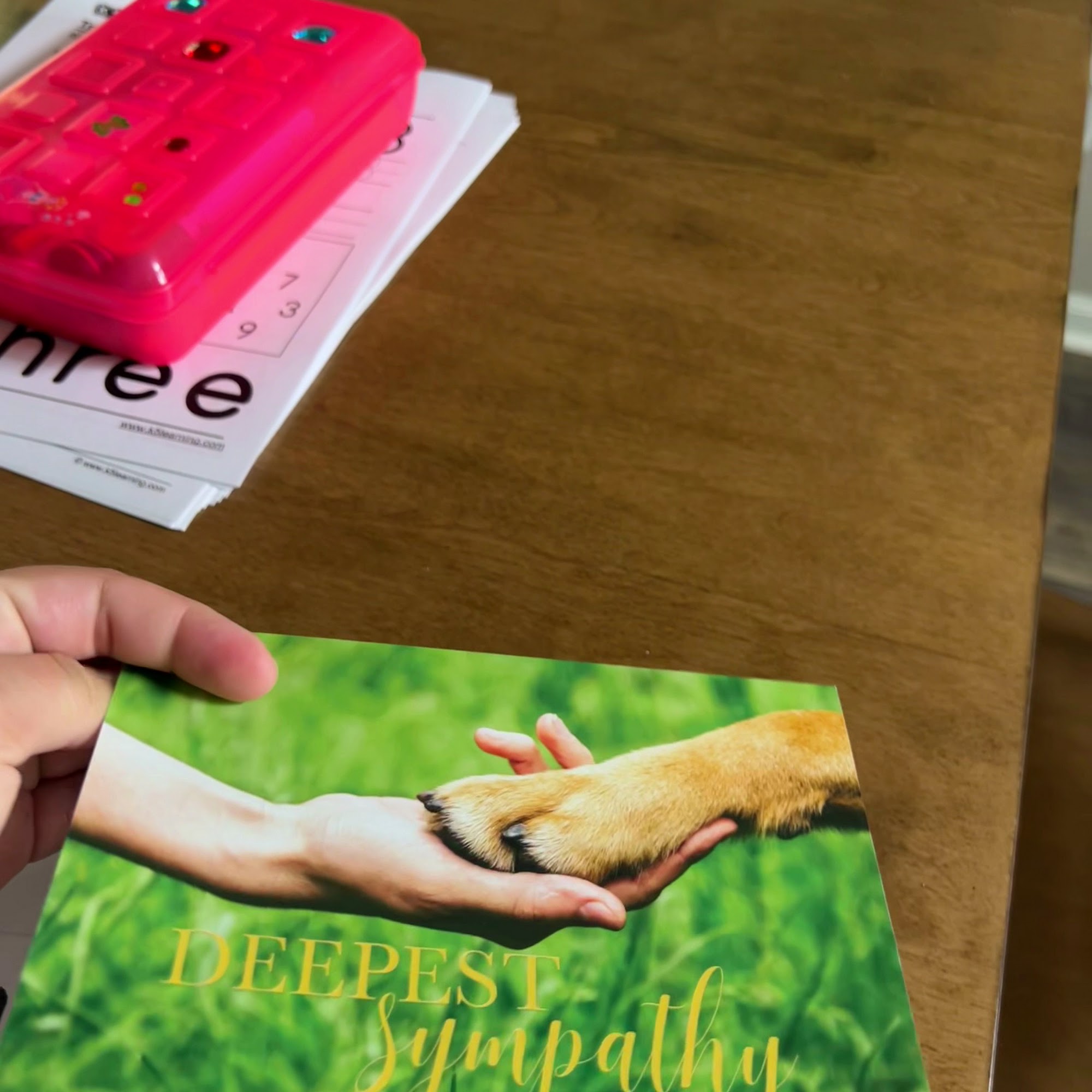 St. Bernard's Animal Hospital Jacksonville