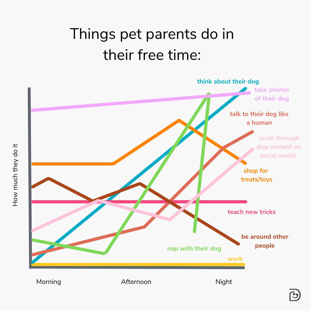 Dogtopia Jacksonville Southbank Jacksonville