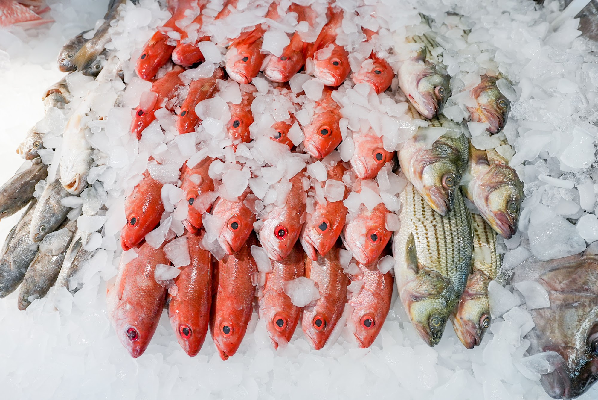 Fisherman's Dock - Mandarin Menu
