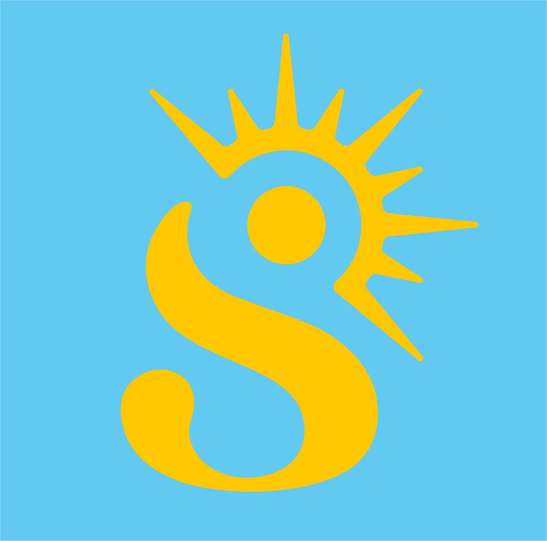 Sunshine Pool Services