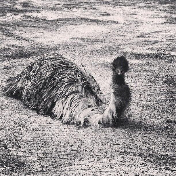 Photo credit: nextdoor