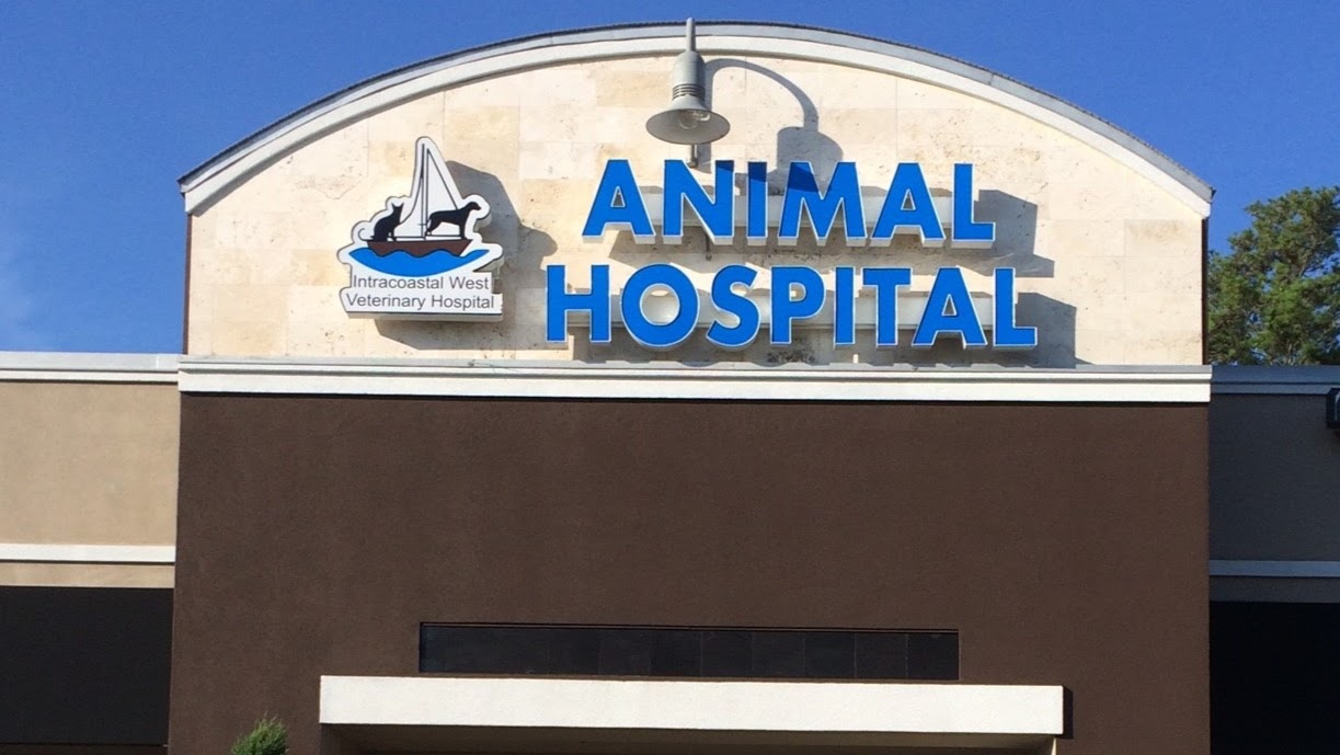 Intracoastal West Veterinary Hospital Jacksonville