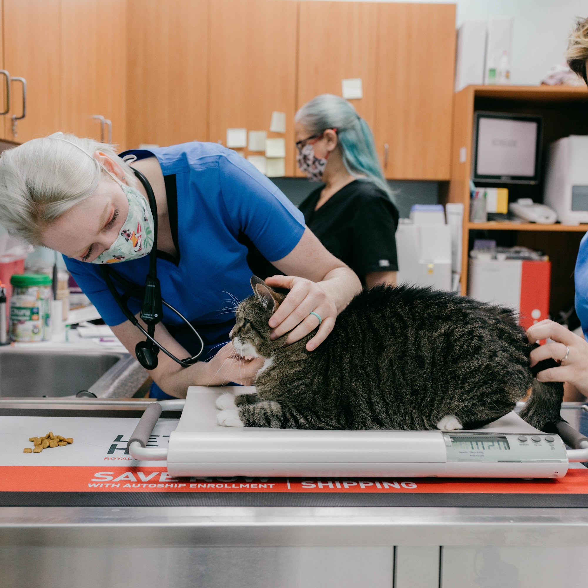 Intracoastal West Veterinary Hospital Jacksonville